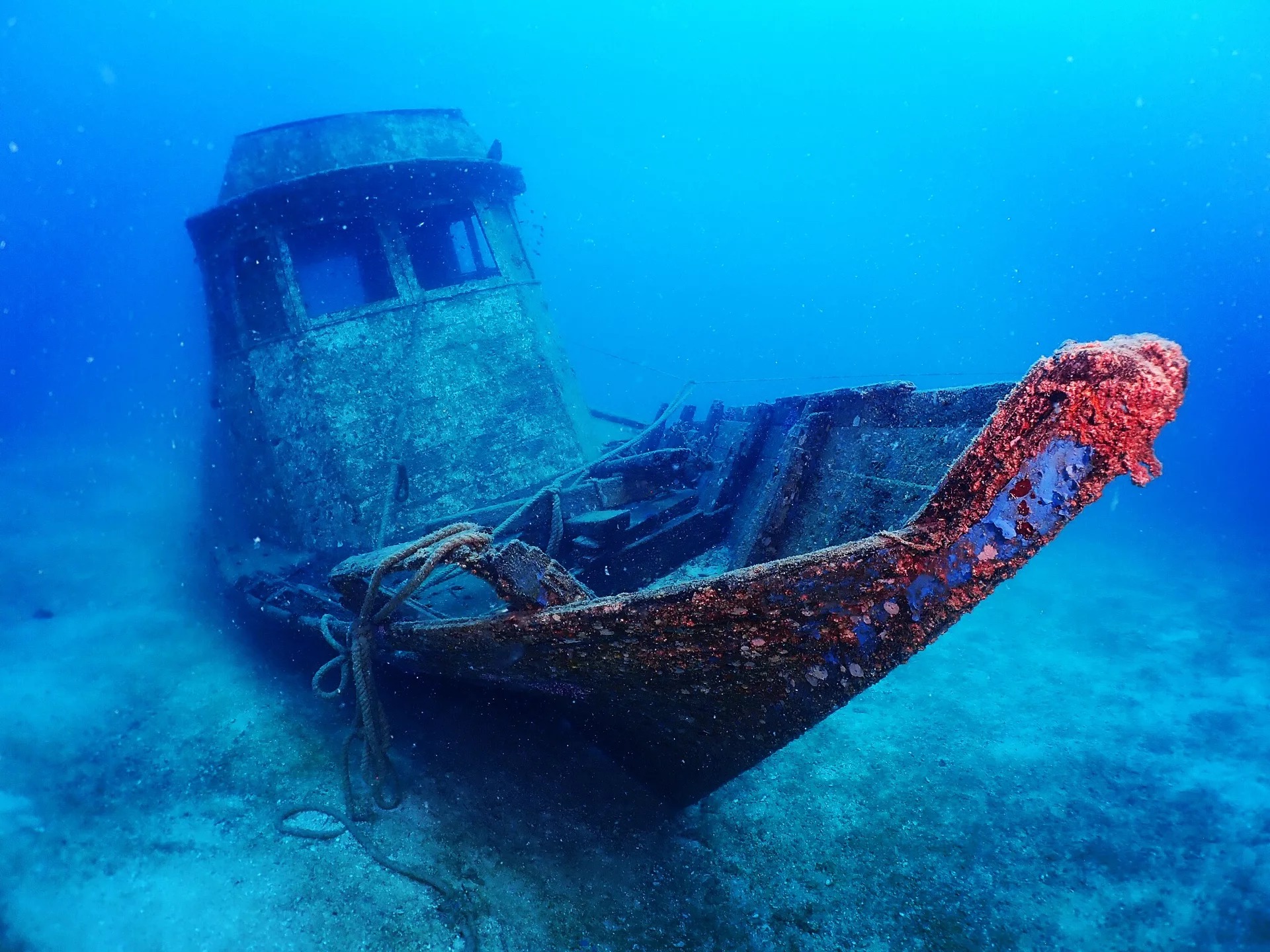 刁曼島高級開放水域潛水體驗（PADI五星級潛水中心）