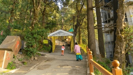 Shimla Nature Trail (3 Hours Guided Walking Experience with a Local)