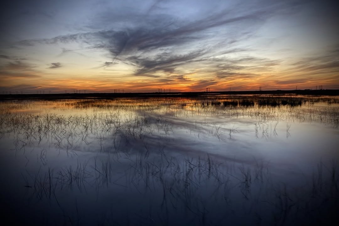 Witness breathtaking views and incredible wildlife on this unforgettable airboat ride!