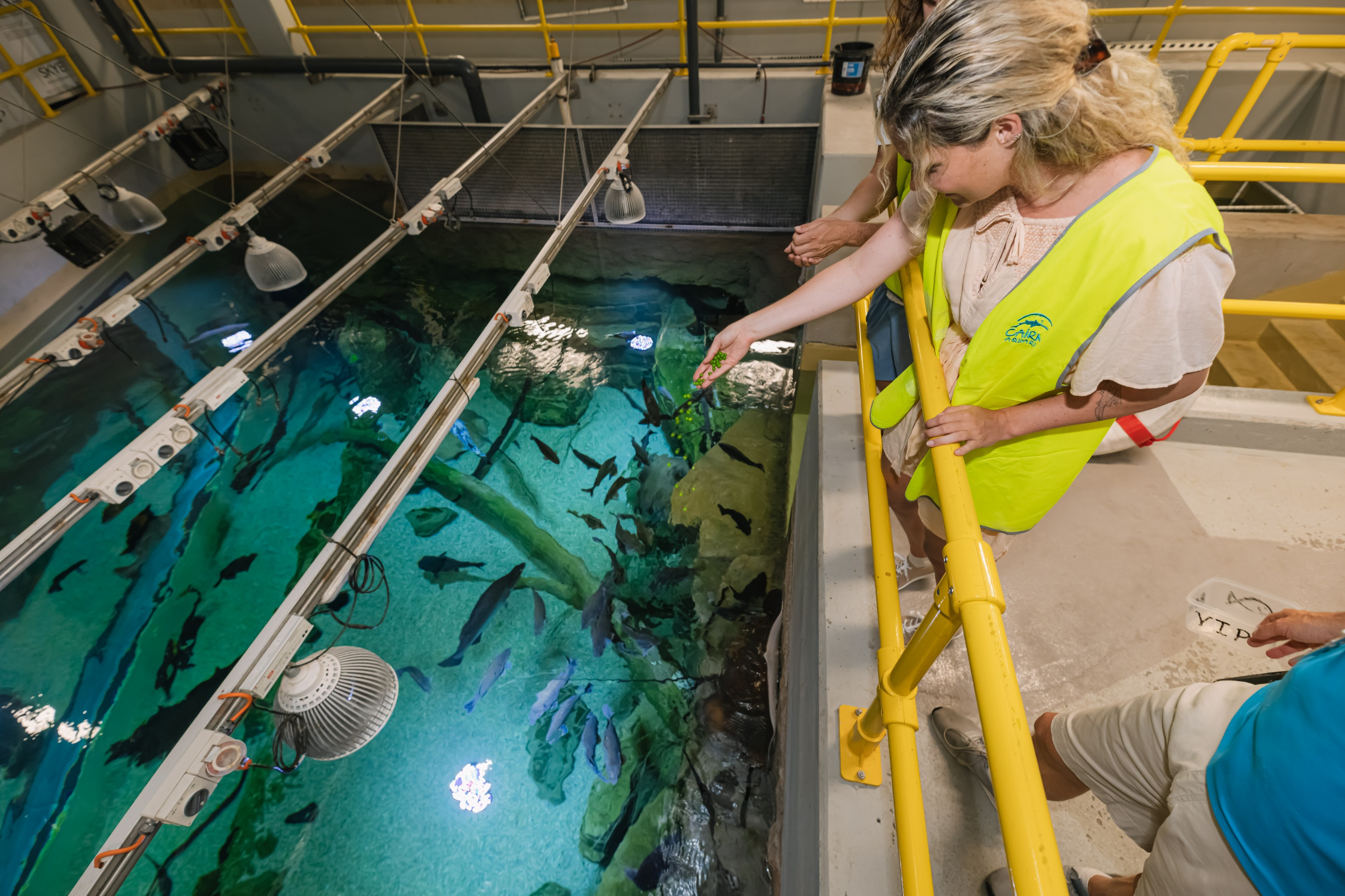 凱恩斯水族館海洋生物邂逅之旅