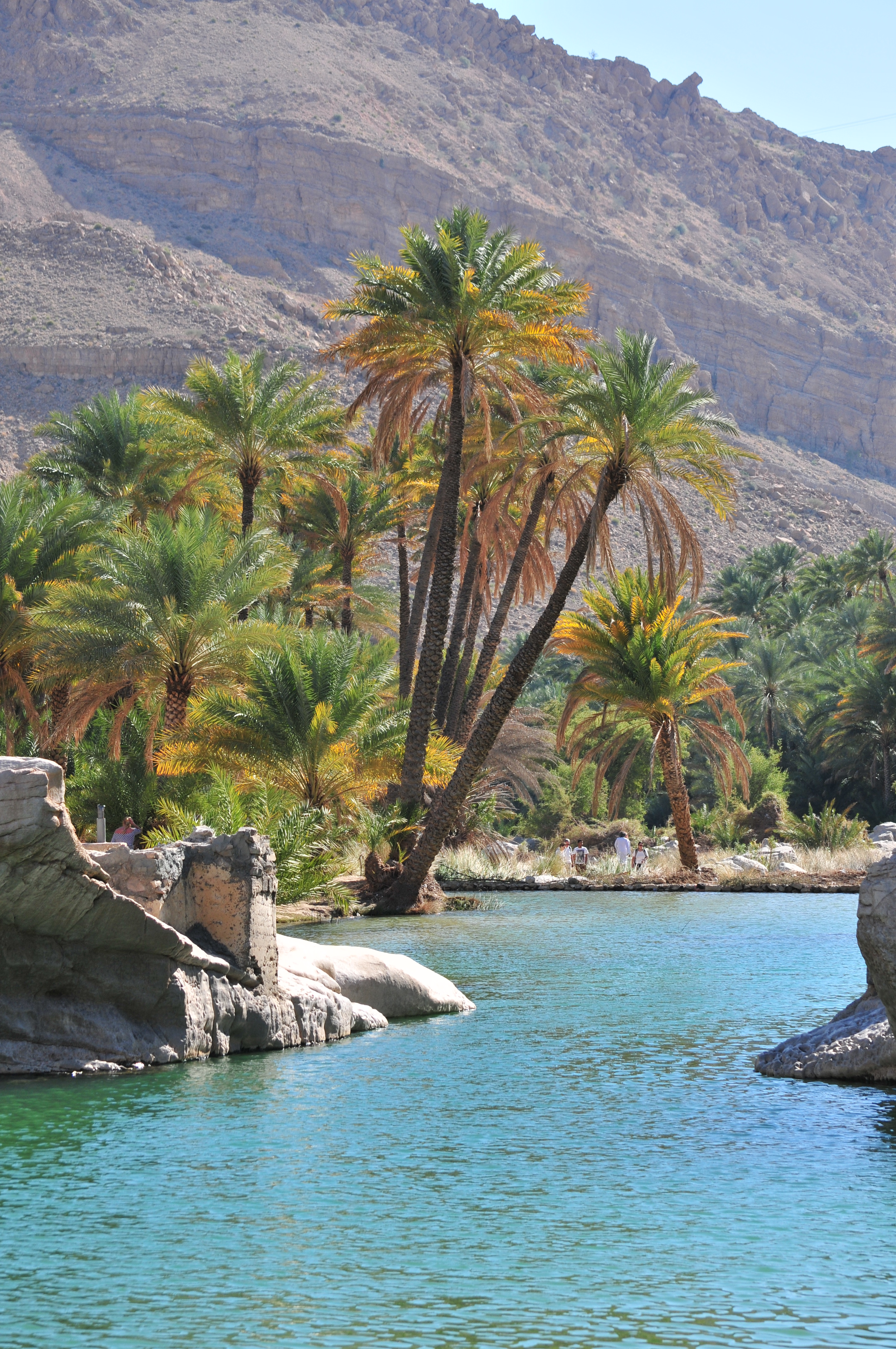 Wadi Bani Khalid and Wahiba Desert