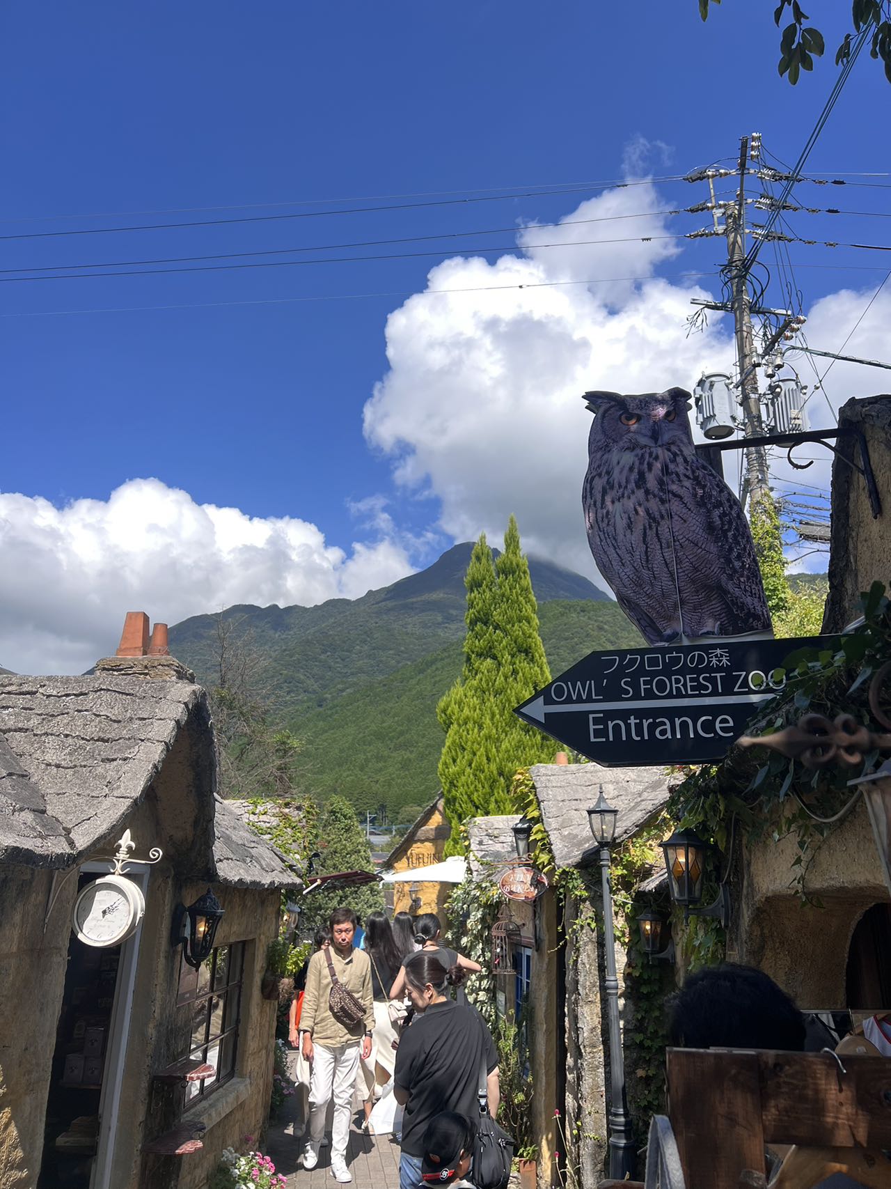 在湯布院街道上，可造訪知名的由布院フクロウの森，店內以貓頭鷹為主題，氛圍溫馨可愛，是人氣拍照與打卡景點。
