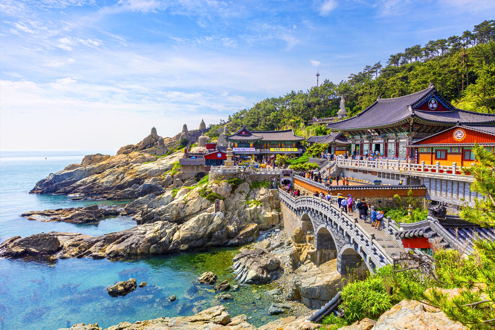 Busan & Gyeongju Private Chartered Car Tour From Busan