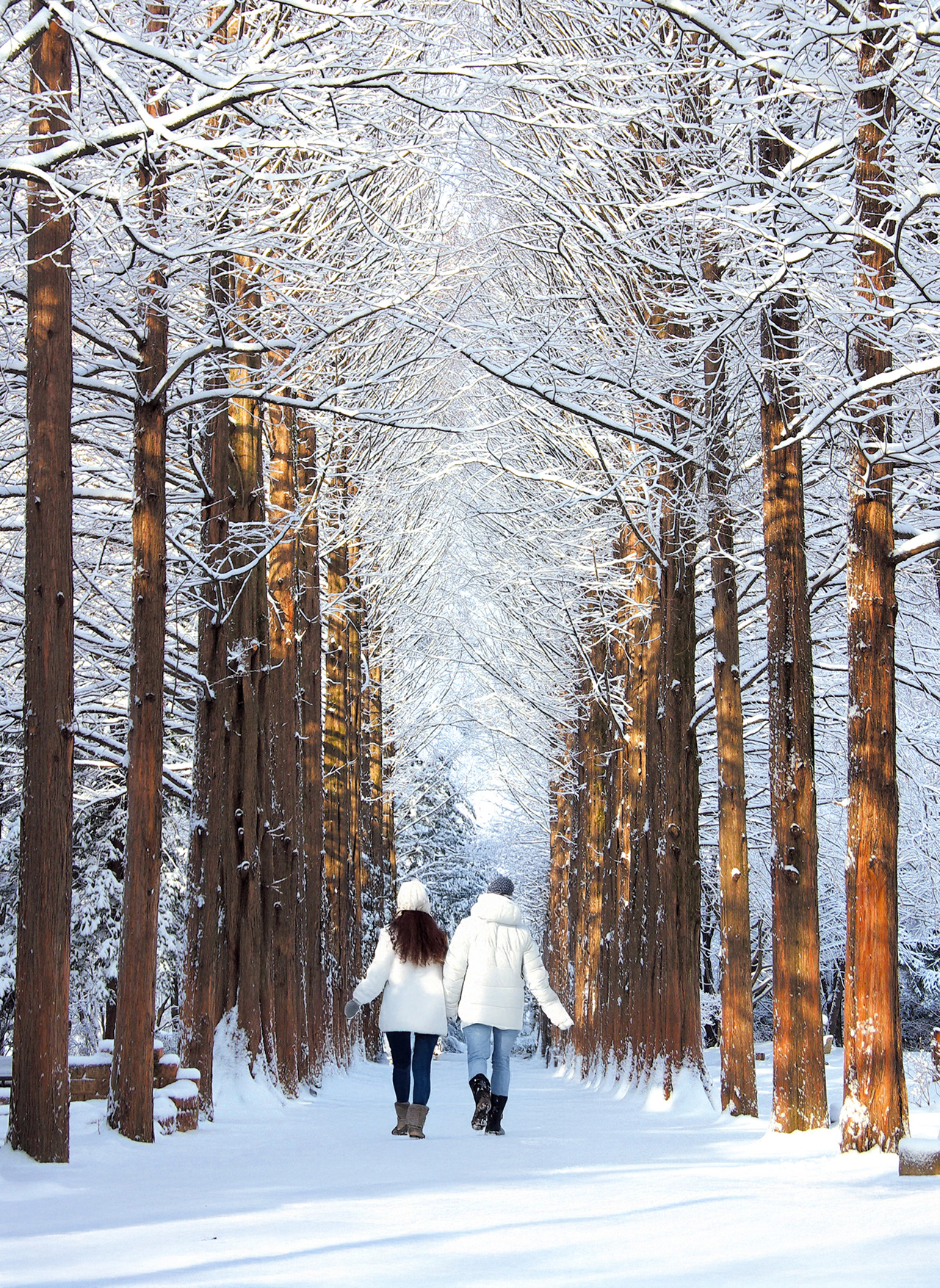 南怡島在冬季會變成一個寧靜的仙境。 白雪覆蓋的林蔭道和寧靜的河畔景色營造出浪漫溫馨的氛圍。 南怡島在冬季會變成一個寧靜的仙境。 白雪覆蓋的林蔭道和寧靜的河畔景色營造出浪漫溫馨的氛圍。