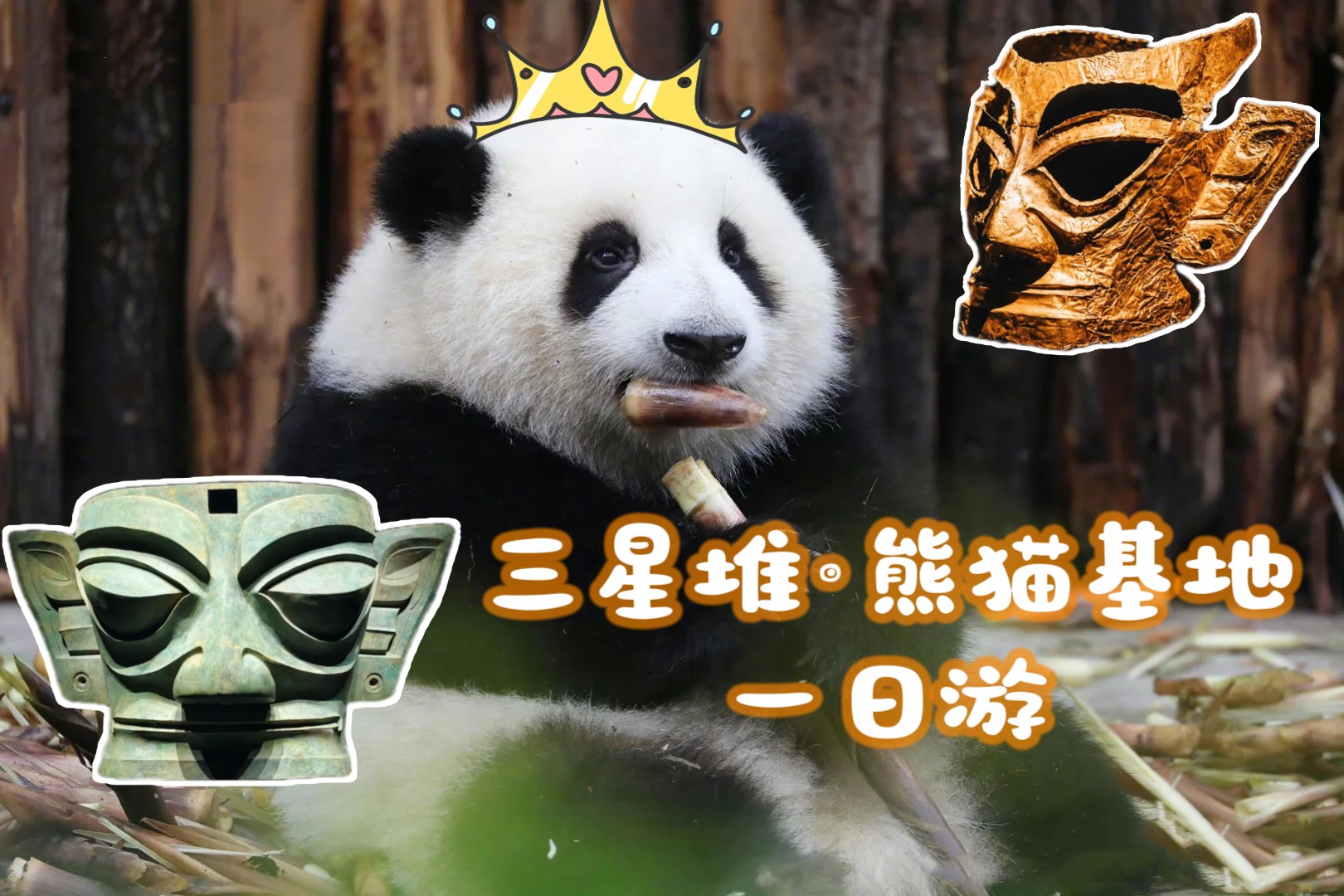 四川成都+大熊貓基地+三星堆精品1日遊（網紅大熊貓花花+4800年前文物+特色川菜）