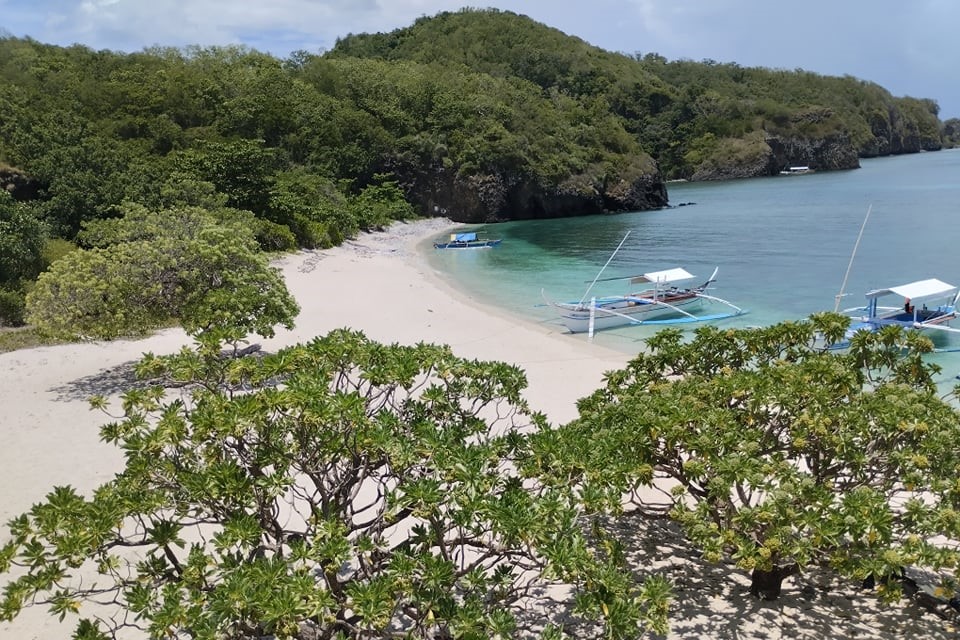 Image 2