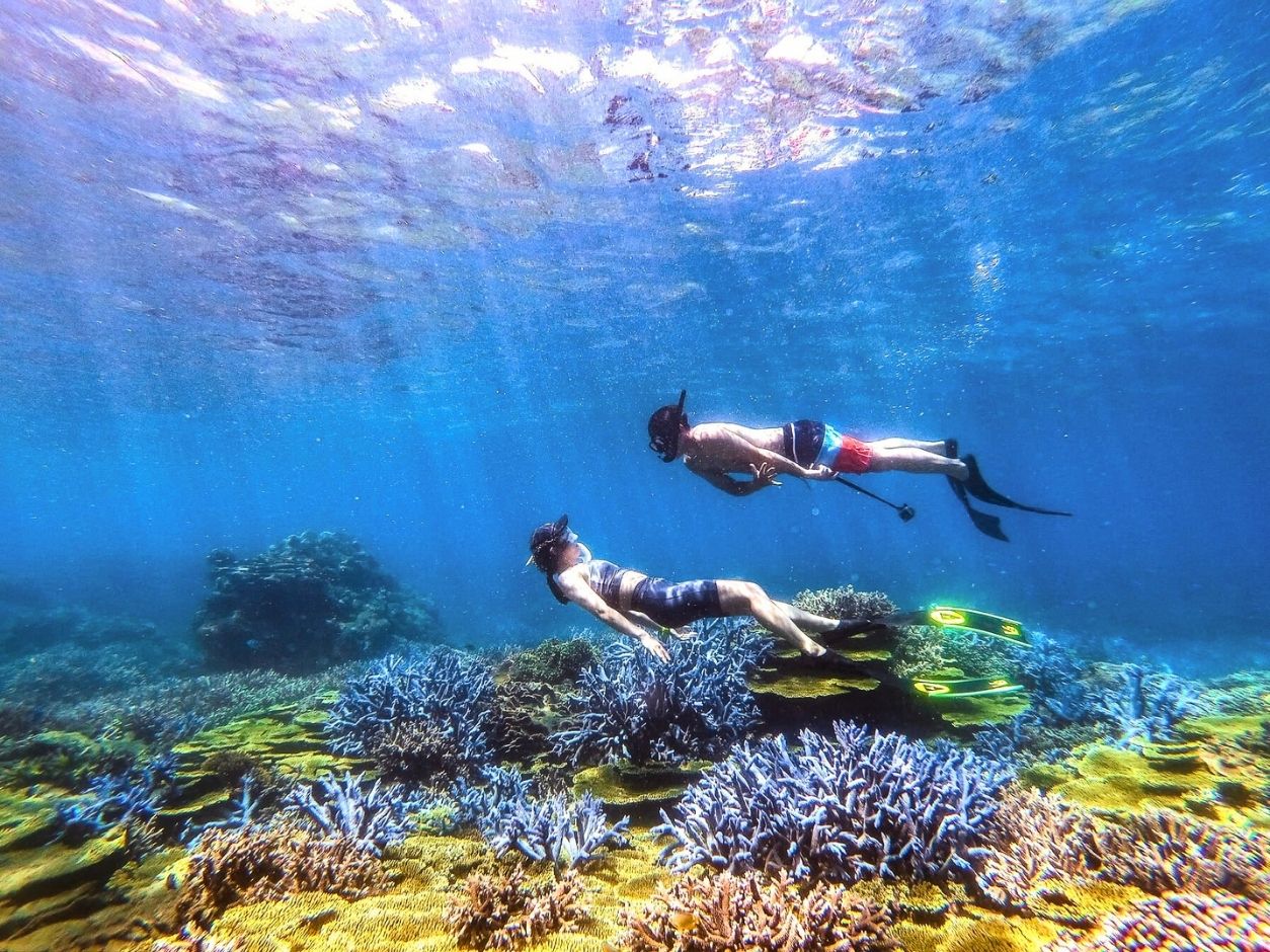 澎湖忘憂島一日遊： 南海唯一海上樂園&海上侏羅紀&獨家無人島&怕水者天堂&珊瑚秘境雙浮潛點