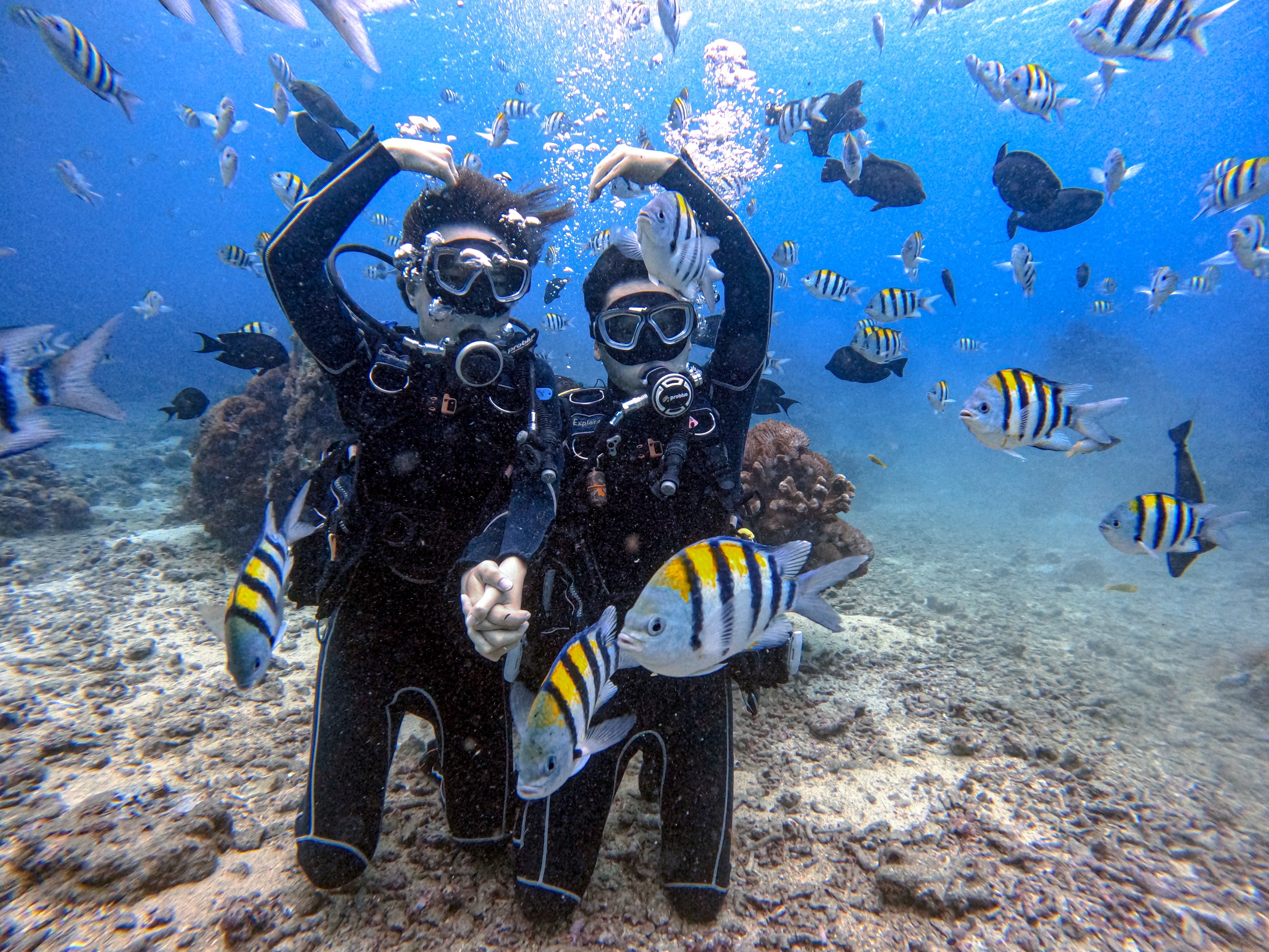 Taitung Green Island｜Bay Bay Diving Center｜Experience Diving