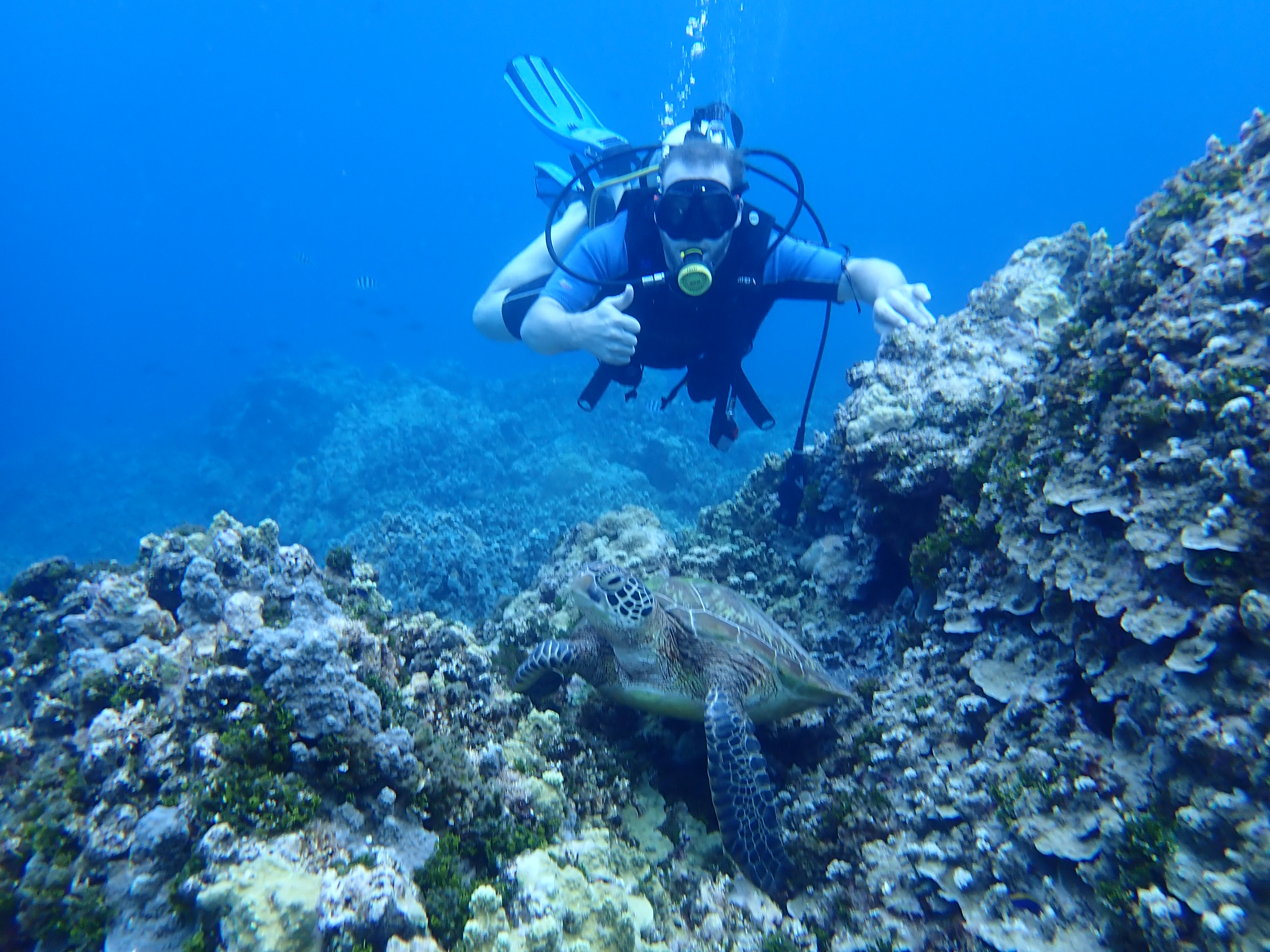 Kayak and Dive from Westin Resort Guam with PADI 5 Star Dive Resort