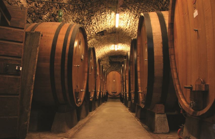 Chianti Vineyards Tour with Wine Tasting & Dinner from Florence