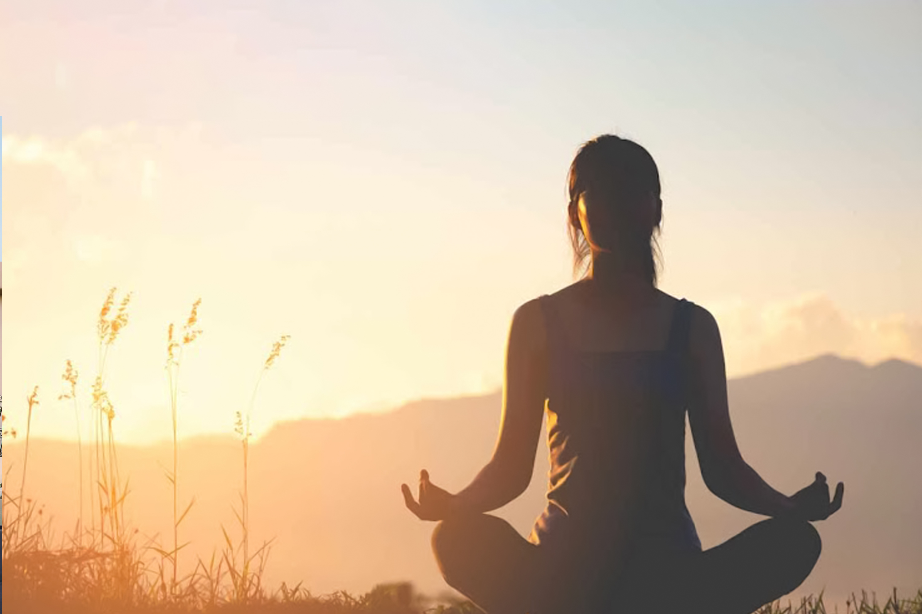 Camping Adventure in Taif