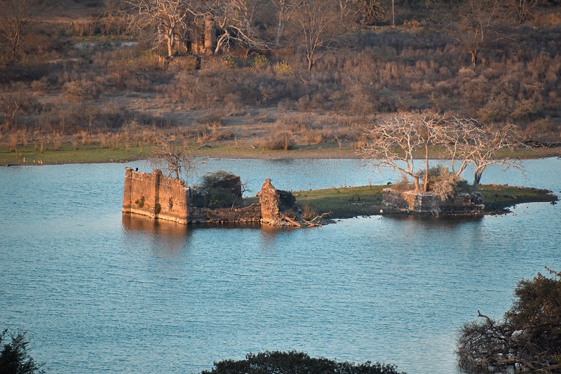 Scenery at the Ranthambore National Park.