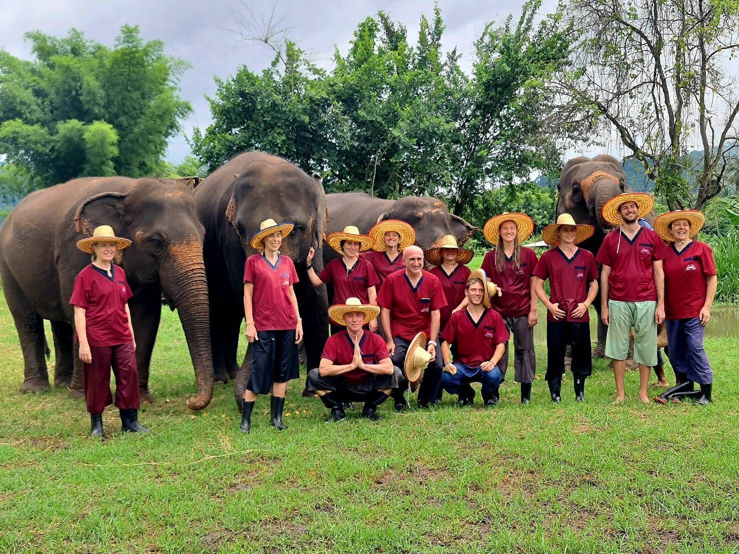 Ran Tong Elephant Experience in Chiang Mai