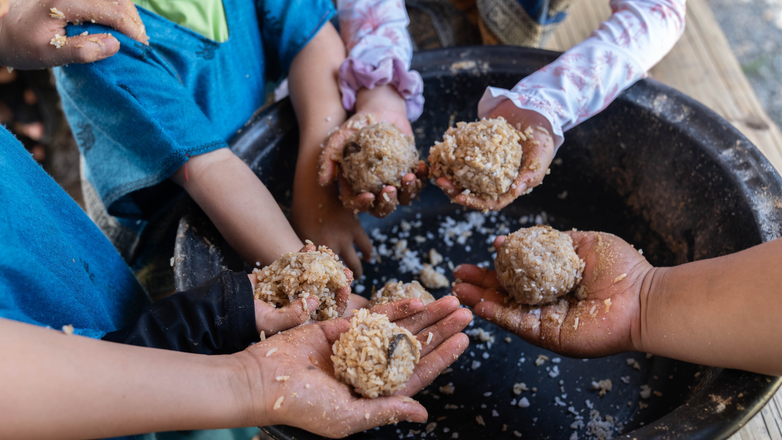 Prepare food for elephants