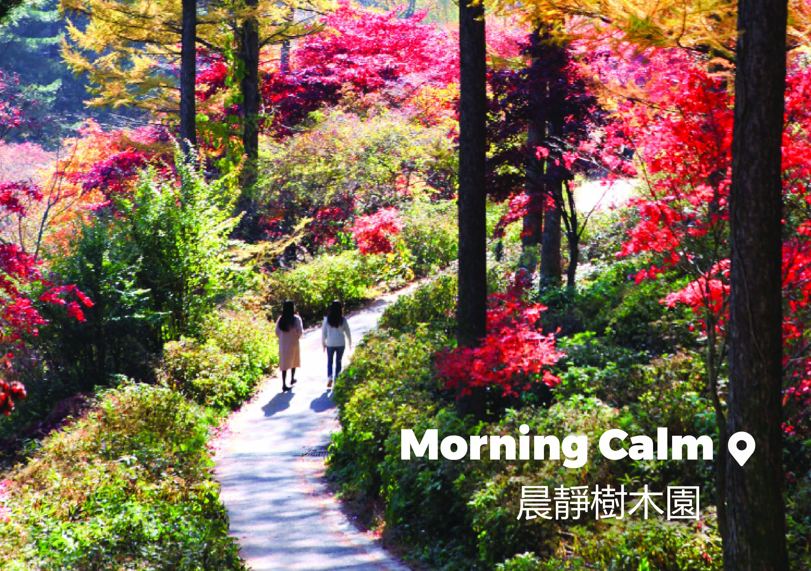 南怡島 & 彩虹之森 & 快樂草原牧場 & 鐵道自行車