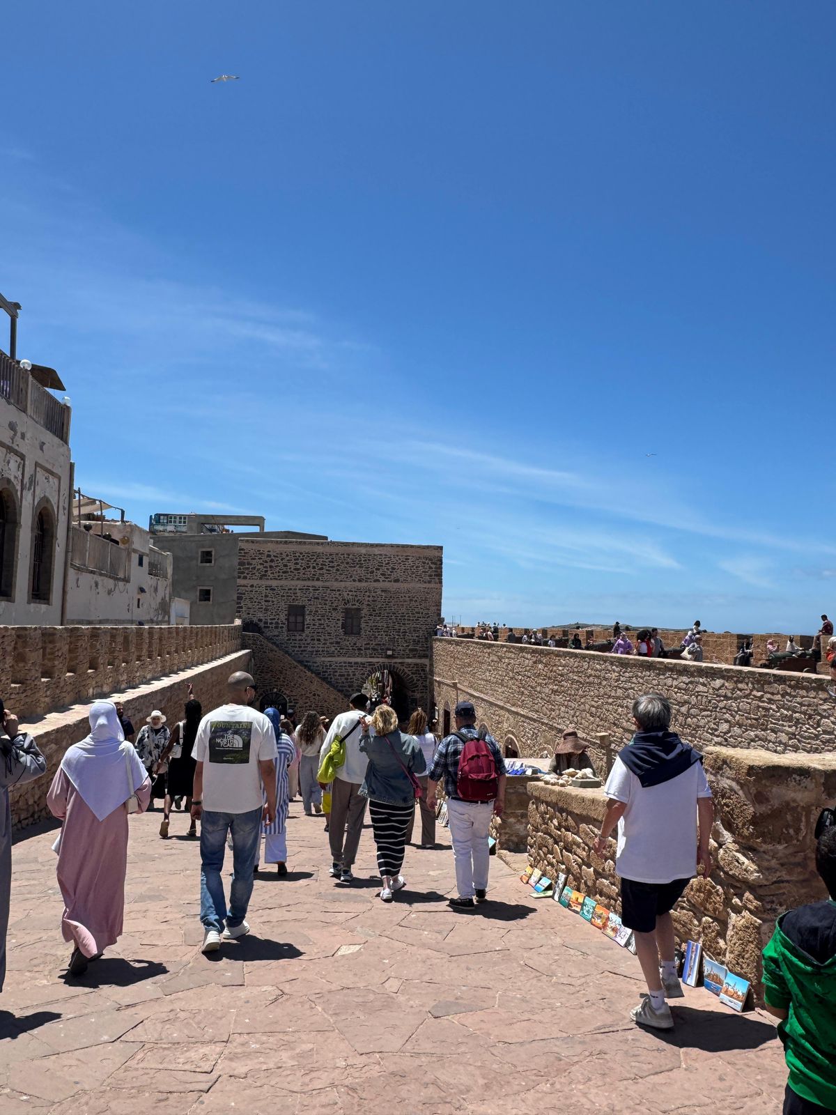 Discover Essaouira on this day trip