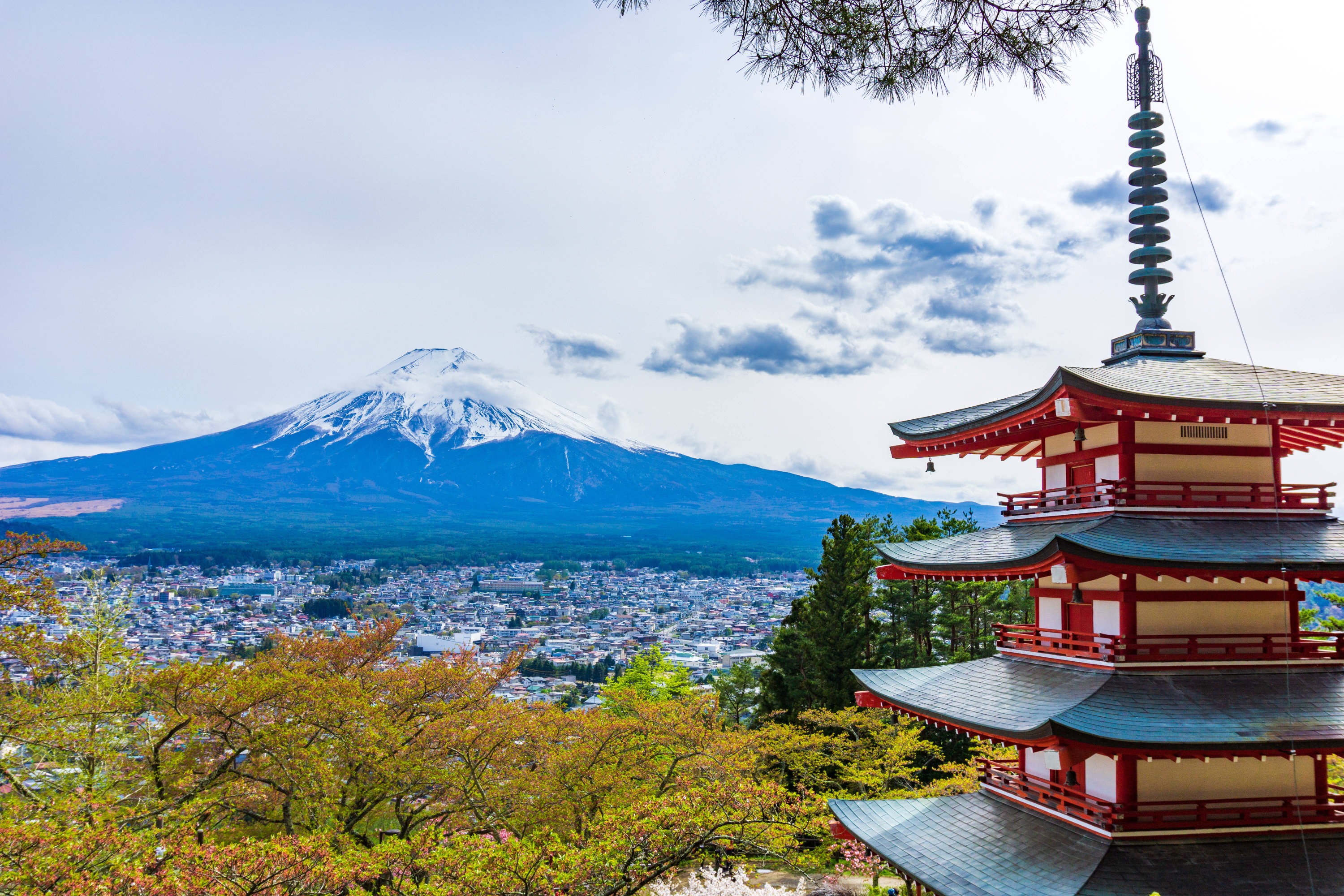 富士山四大名勝景點一日遊（東京出發)