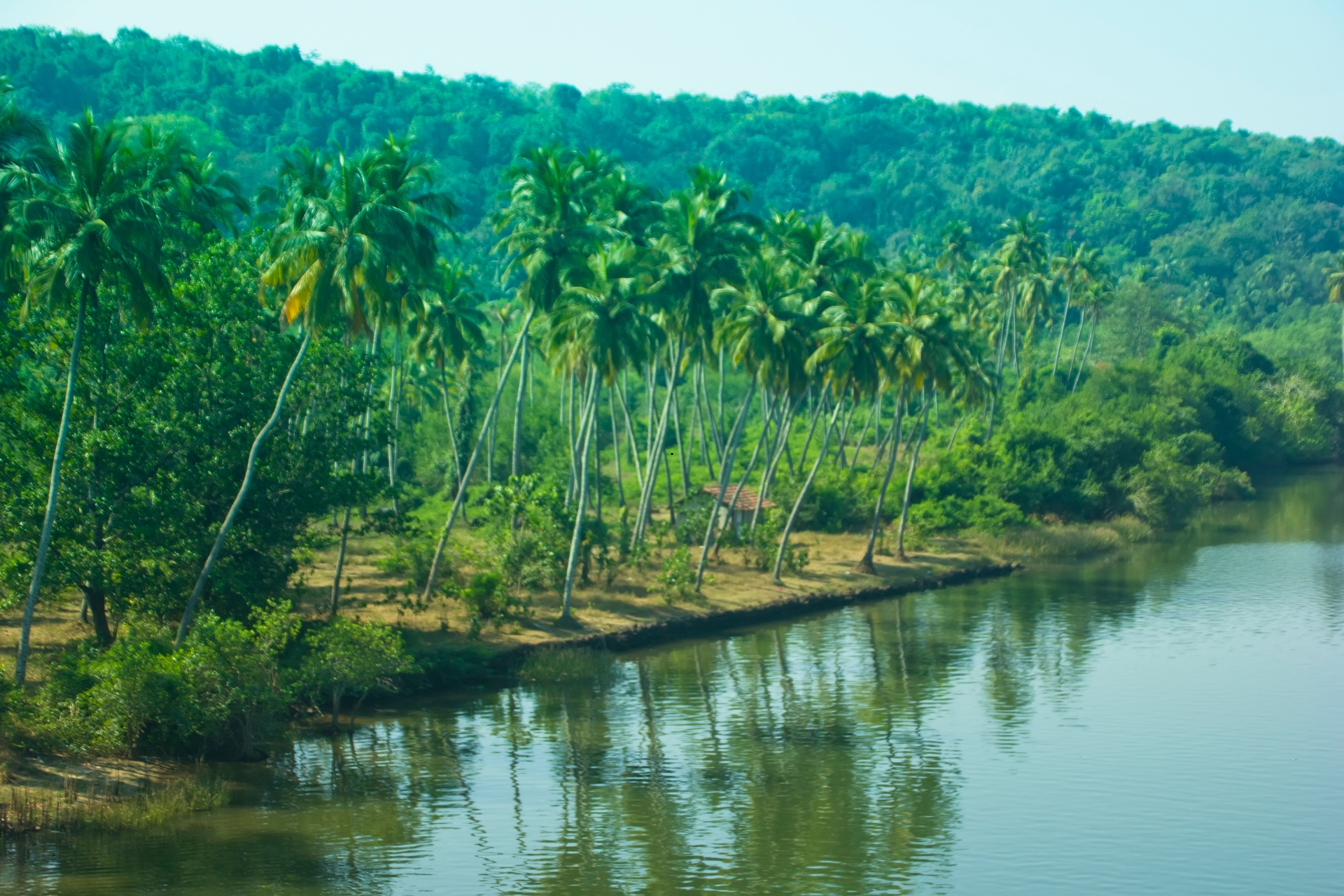 8-Days Kerala Tour From Cochin with Houseboat Stay