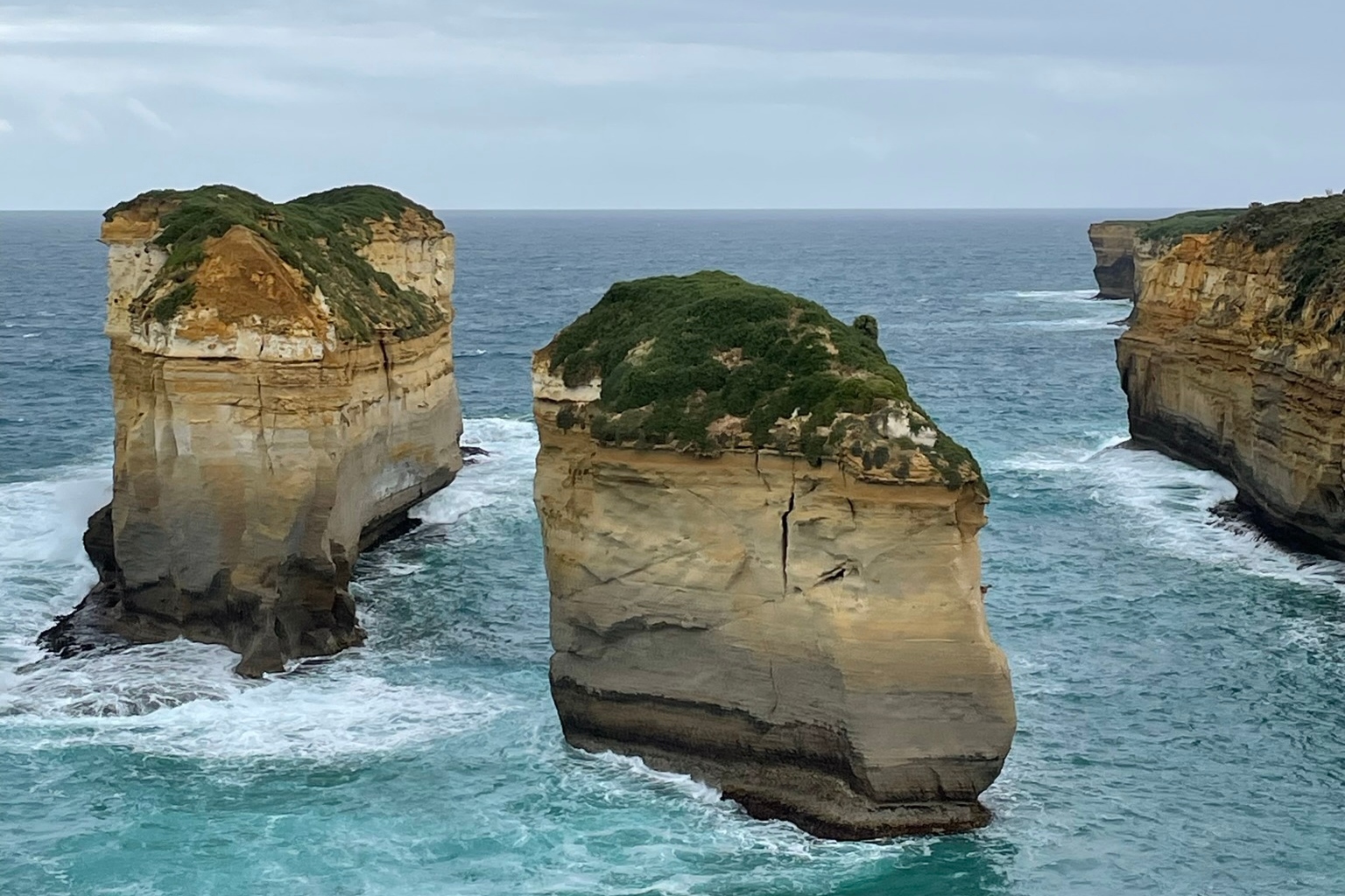 2 Days Wellbeing and Wildlife Great Ocean Road Experience