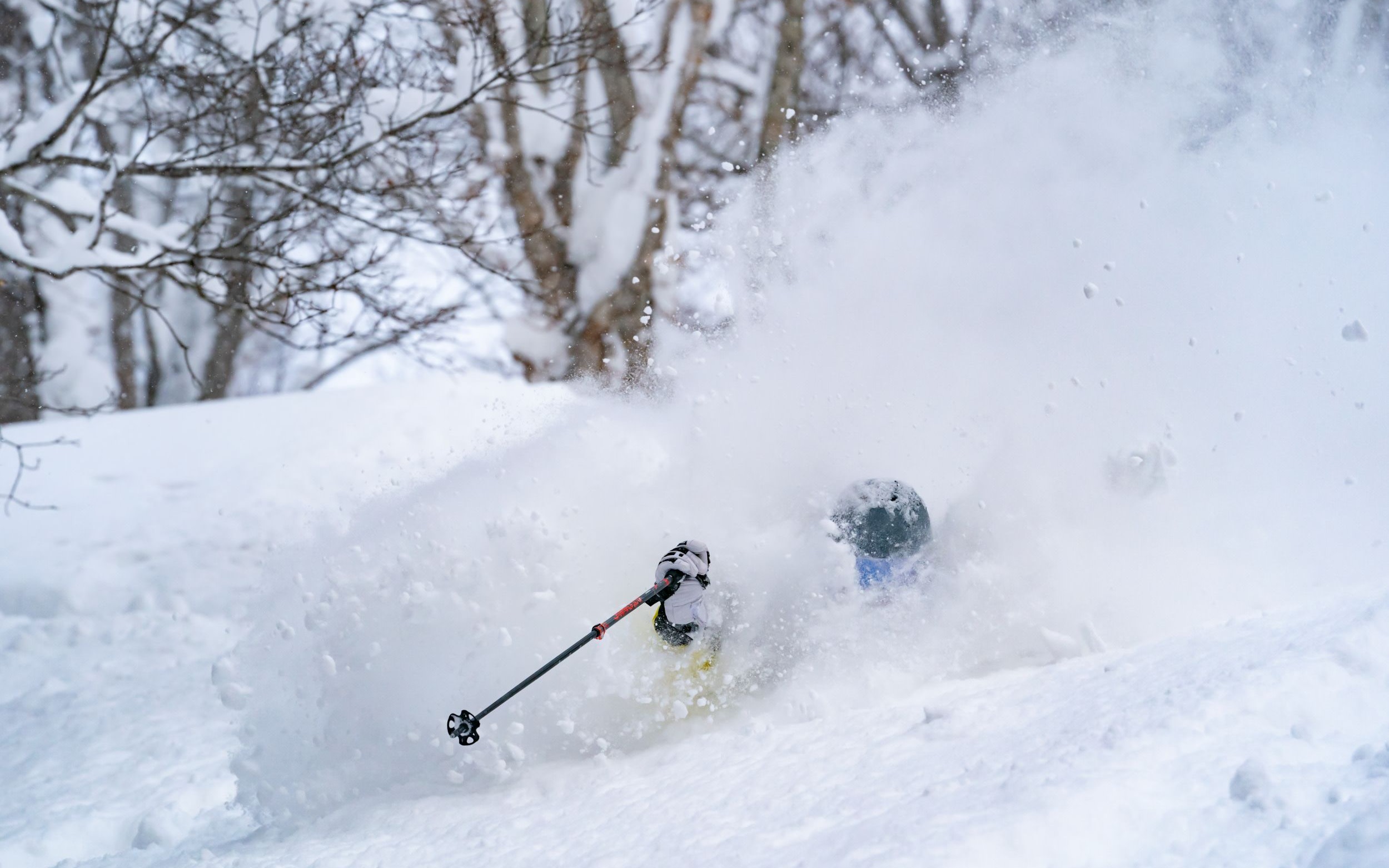 Kamuiskilinks Private Day Ski Lesson