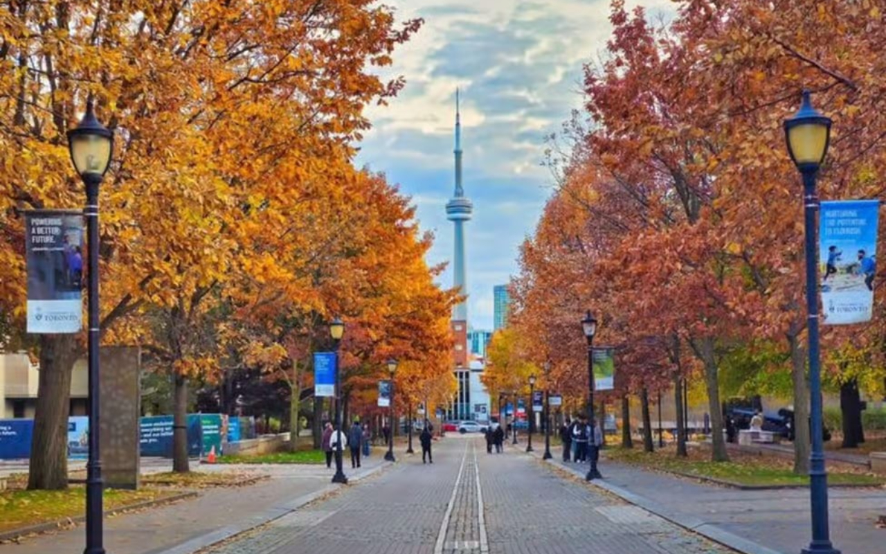 探索多倫多的迷人魅力，創造永生難忘的精彩回憶