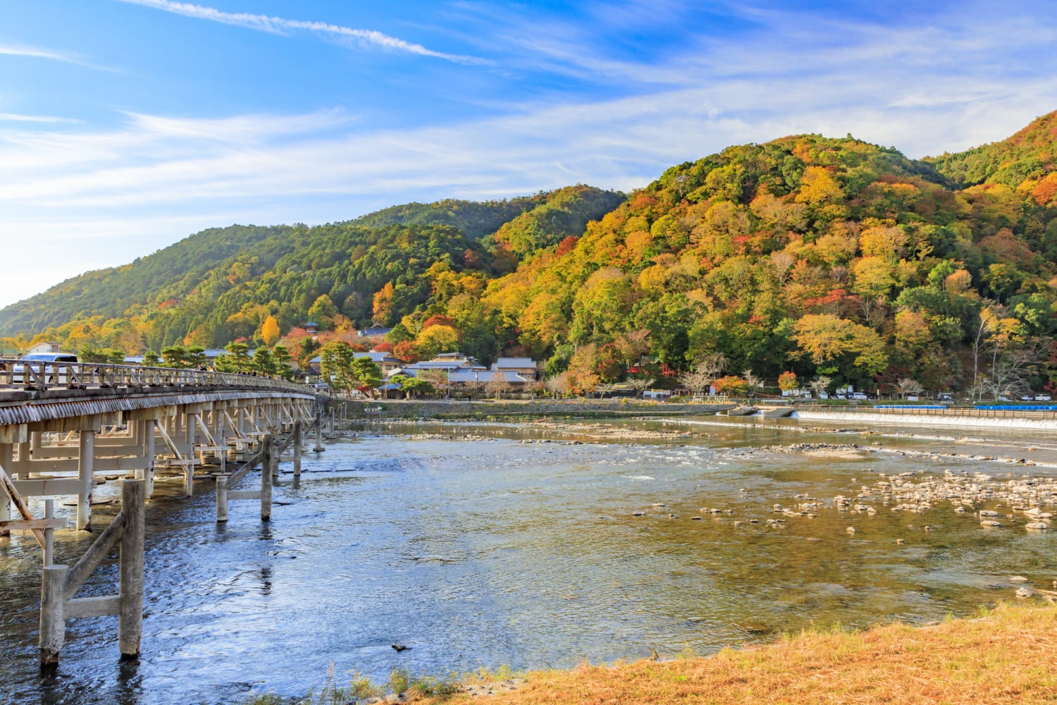 京都嵐山竹林 & 花園半日徒步之旅