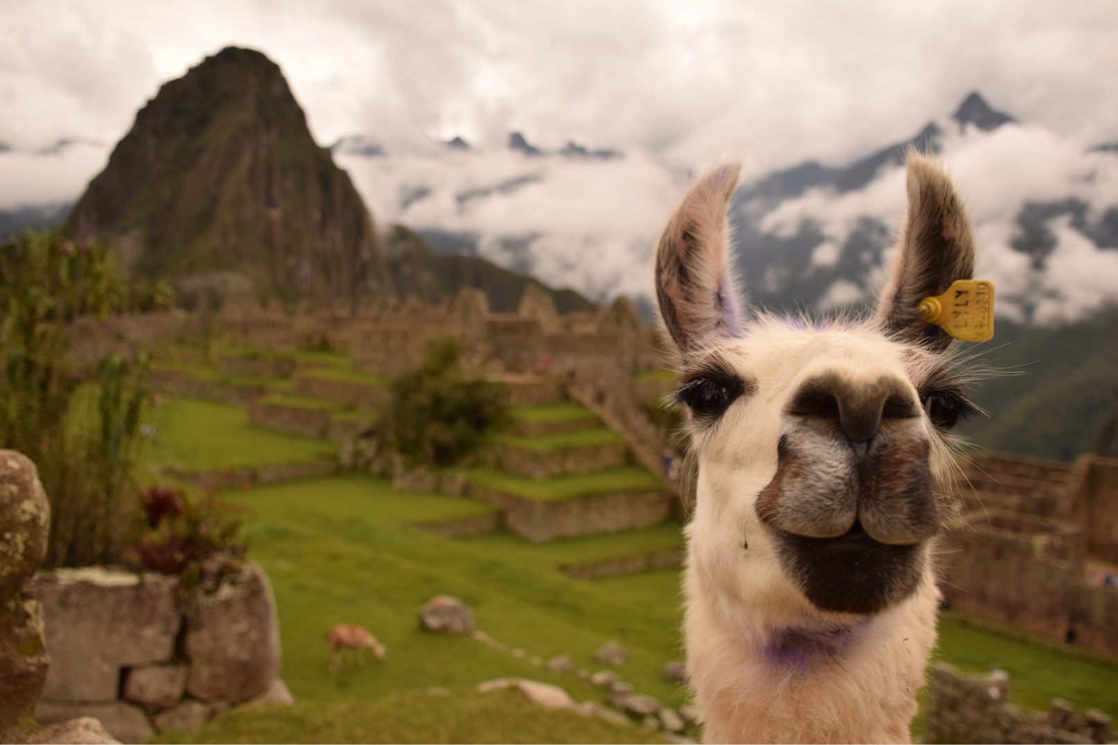 2 Days Inca Trail to Machu Picchu