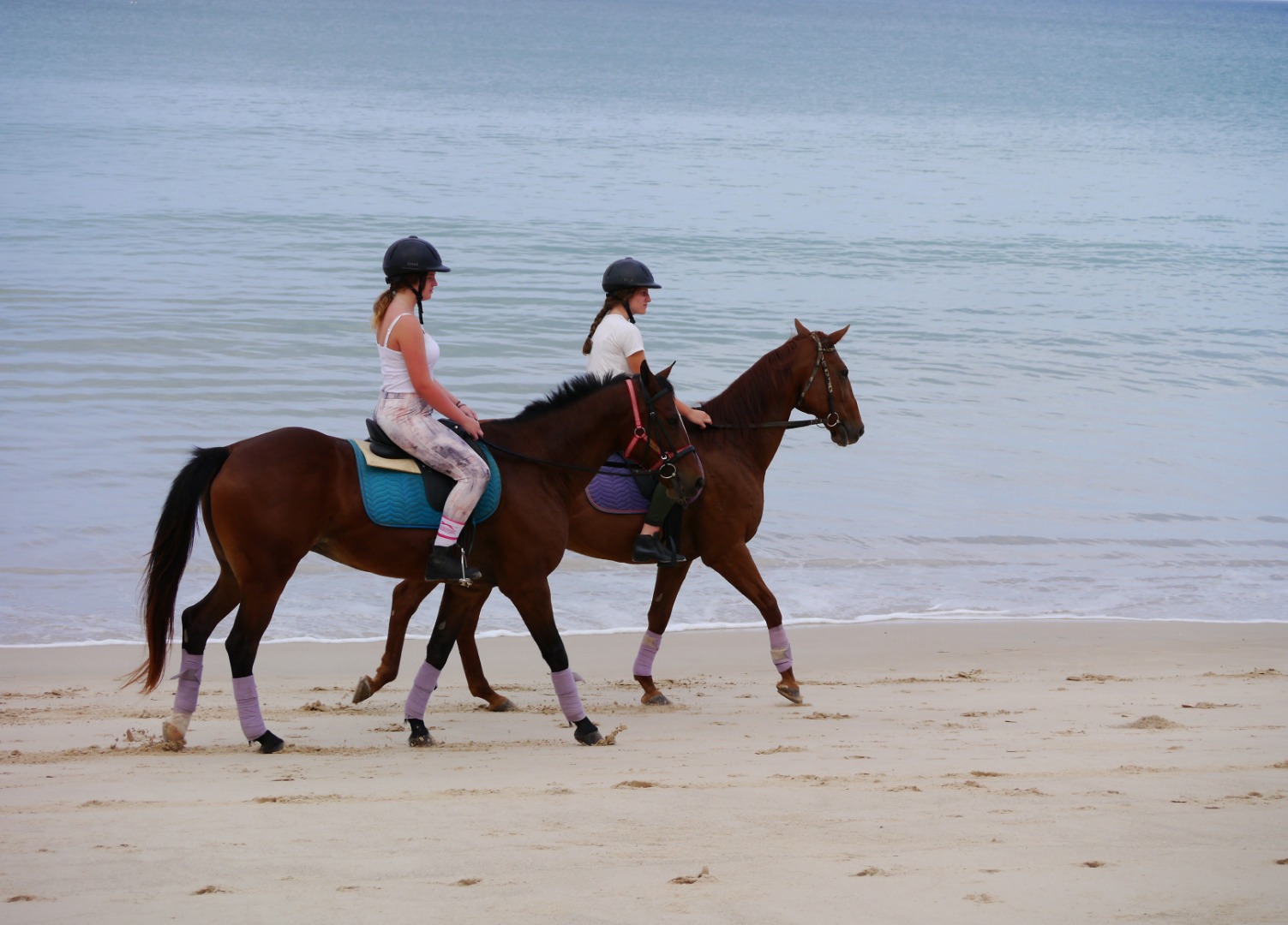 普吉島騎馬體驗