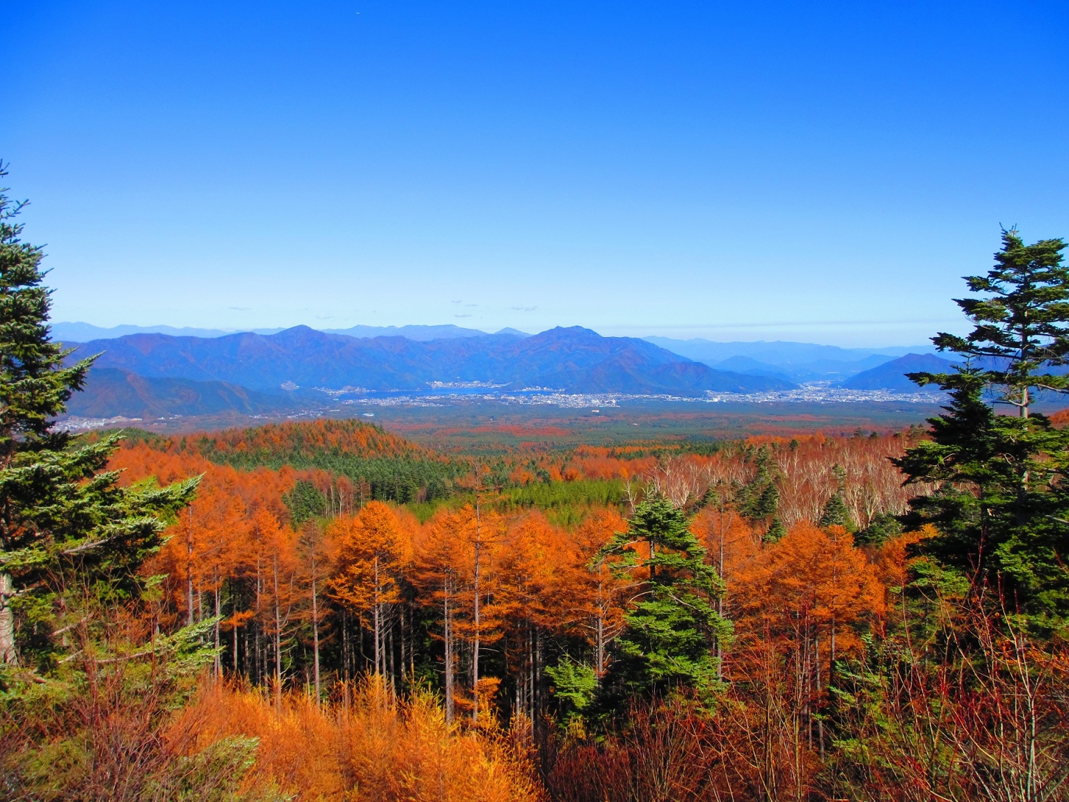 Autumn Leaves