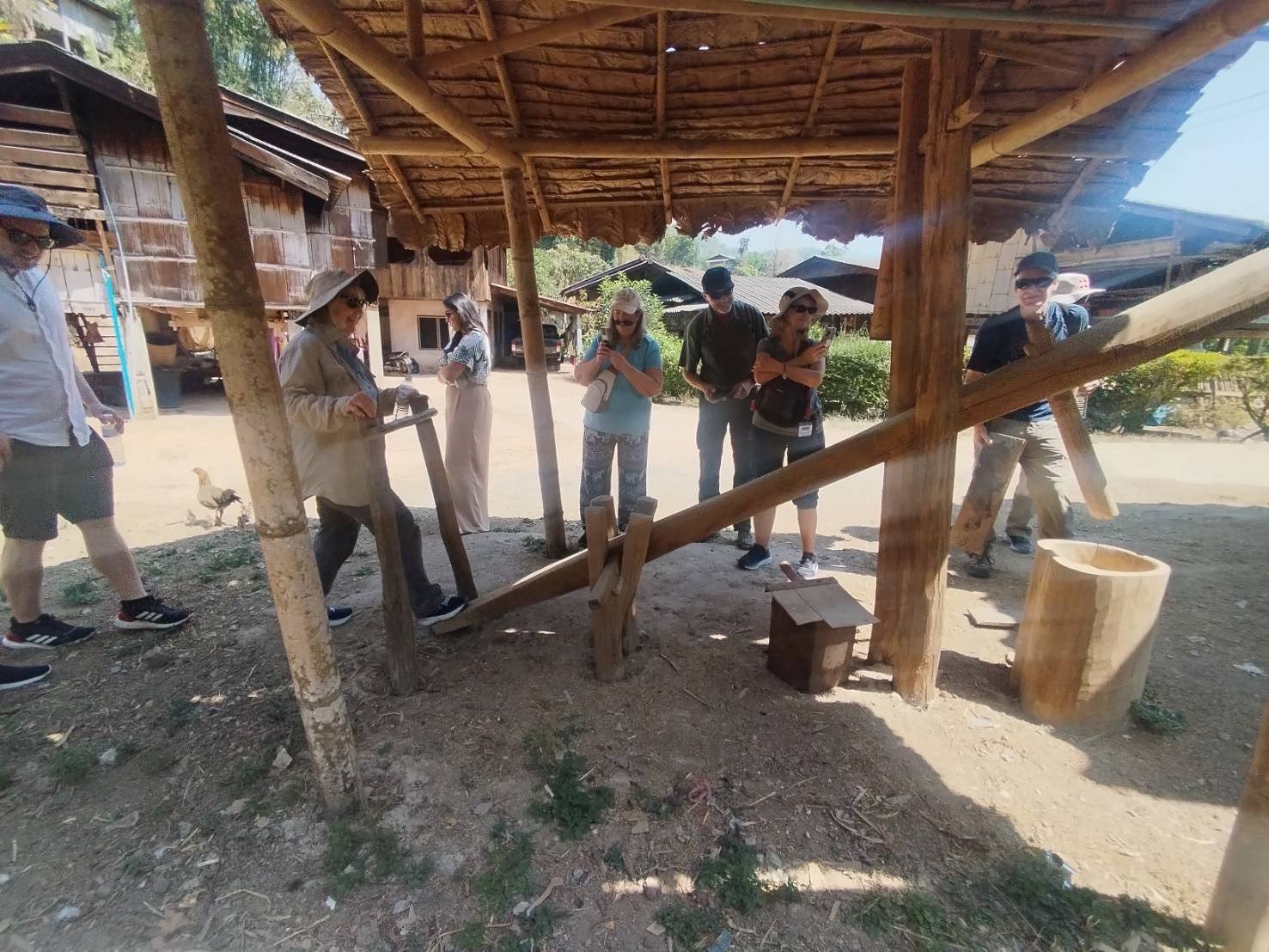 Image 4