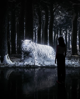 以江陵的自然景觀為背景，ARTE MUSEUM 將 光影、聲音、氣味與影像藝術 融合，重新詮釋「自然、海浪、風、森林與海洋」等主題，打造宛如置身大自然之中的數位藝術場景。  宛如仙境超好拍！