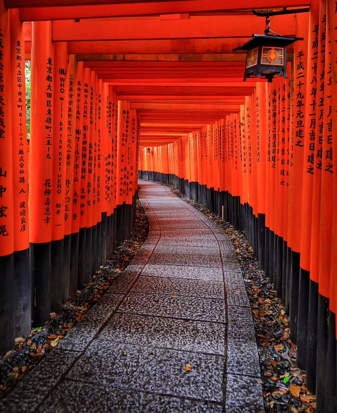 【京都全景一日遊】二條城&金閣寺&伏見稻荷大社千本鳥居&嵐山渡月橋&和服森林&竹林小徑（大阪或京都出發）