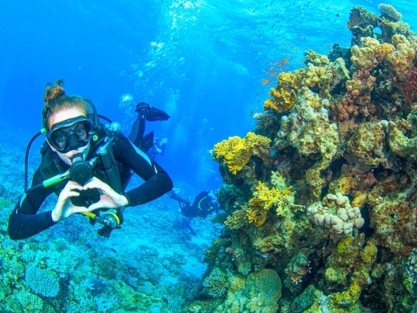 赫爾格達：馬加維什島潛水與浮潛之旅（含午餐）