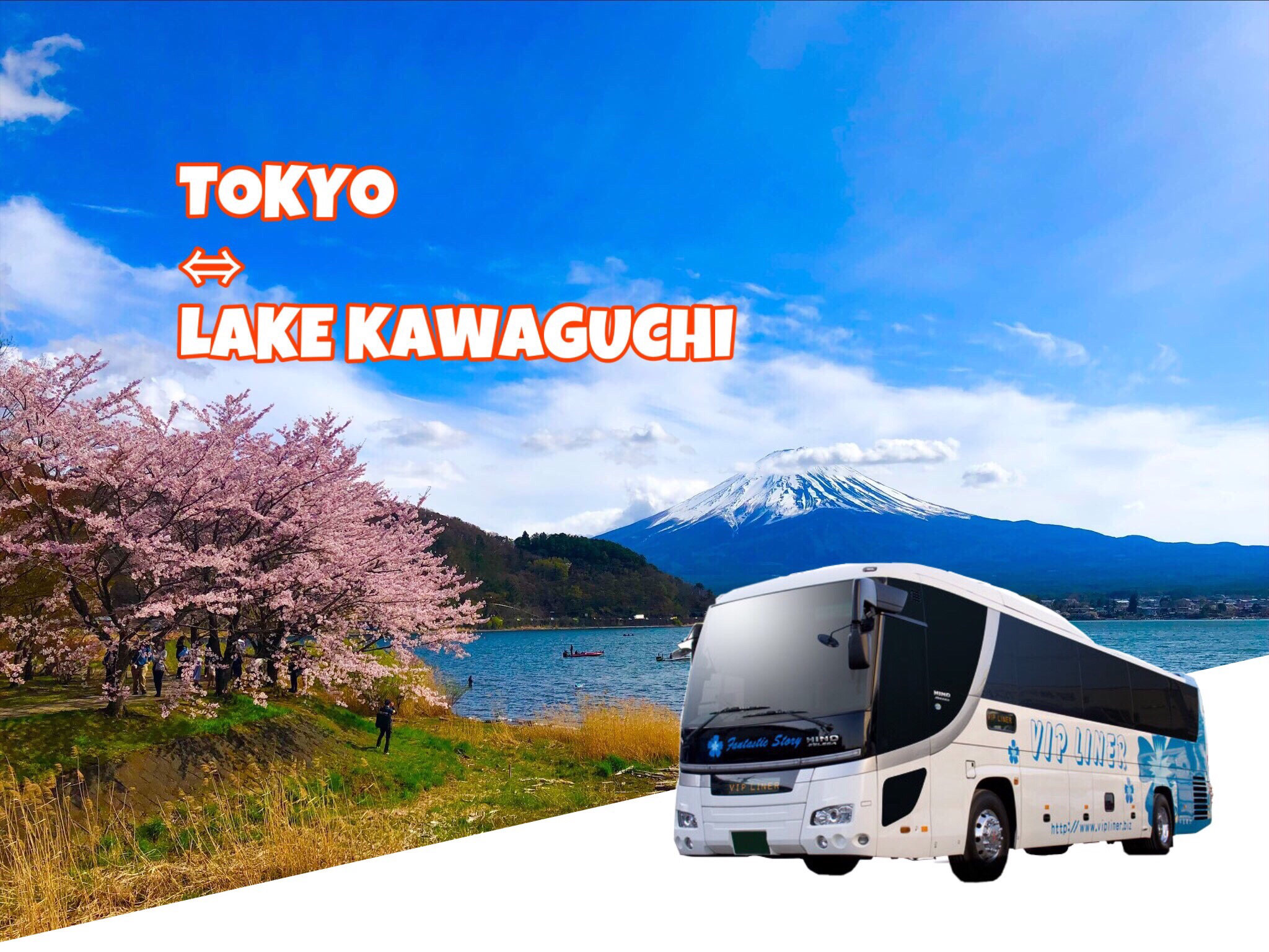 東京 - 河口湖接駁巴士（VIP Liner 提供）