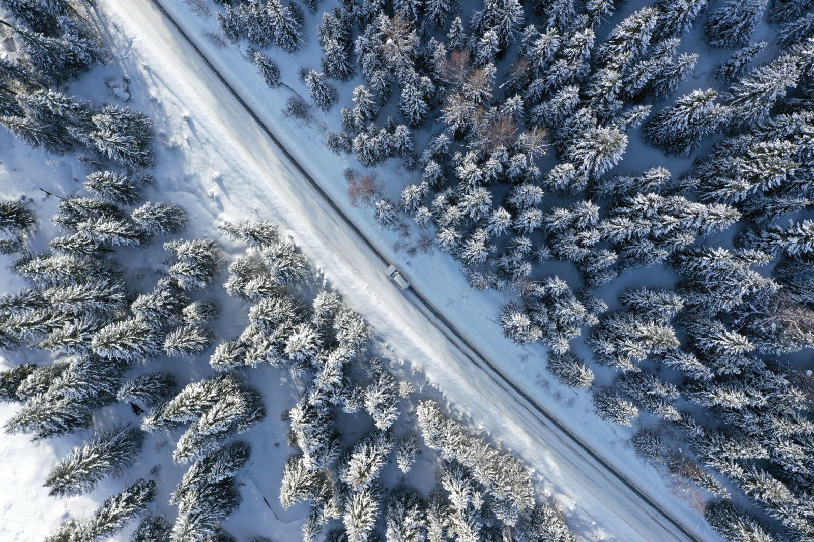 Muxue Winter | Winter Xinjiang Altay 5 Days 4 Nights