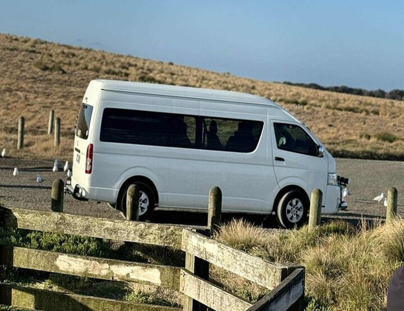 墨爾本帕芬比利蒸汽火車和菲利普島私人旅遊