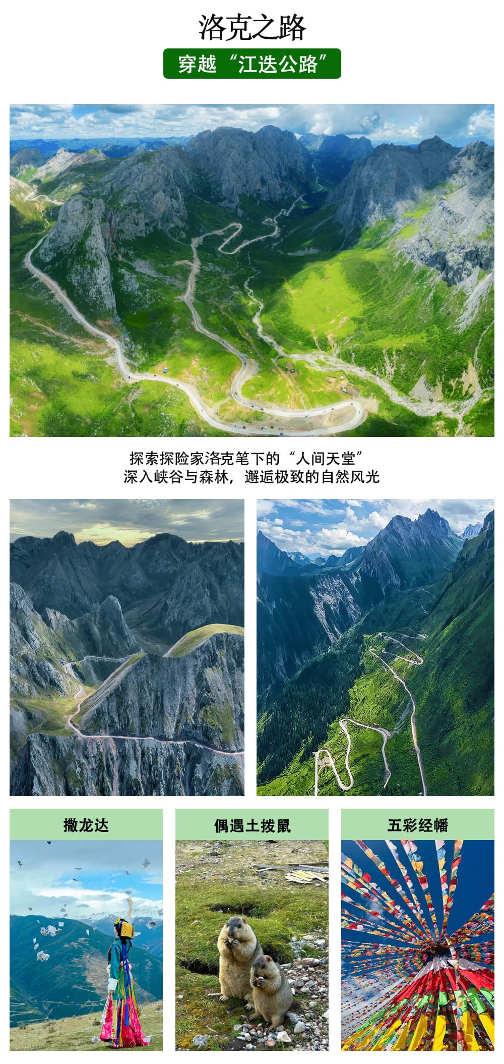 小眾甘南草原探索6日遊（甘加秘境營地+扎尕那嚮導帶隊徒步+炳靈寺石窟+若爾蓋花湖+洛克之路+藏學府拉卜楞寺+桑科草原+贈藏裝妝造）