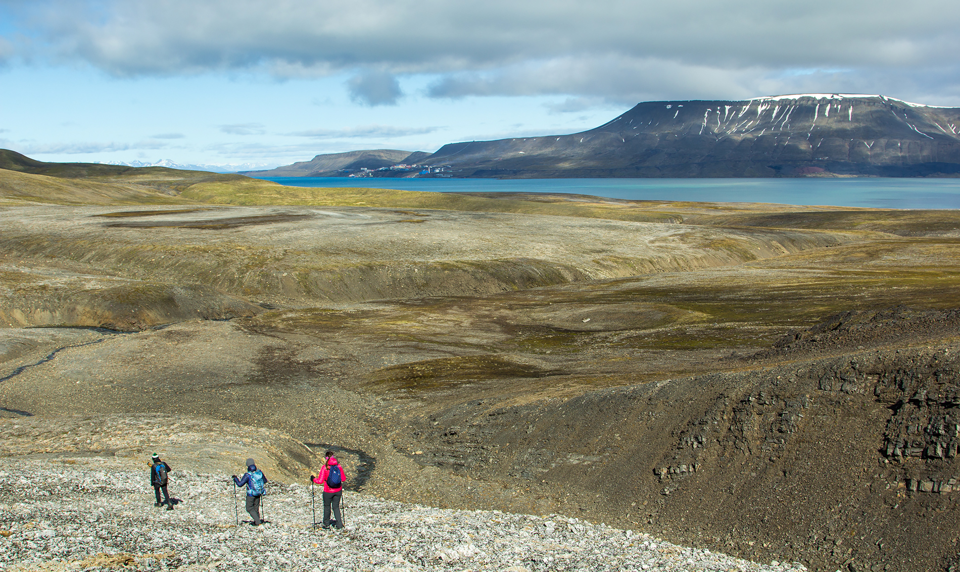 One-Day Arctic Boat Tour: Glaciers and Wildlife of Isfjorden
