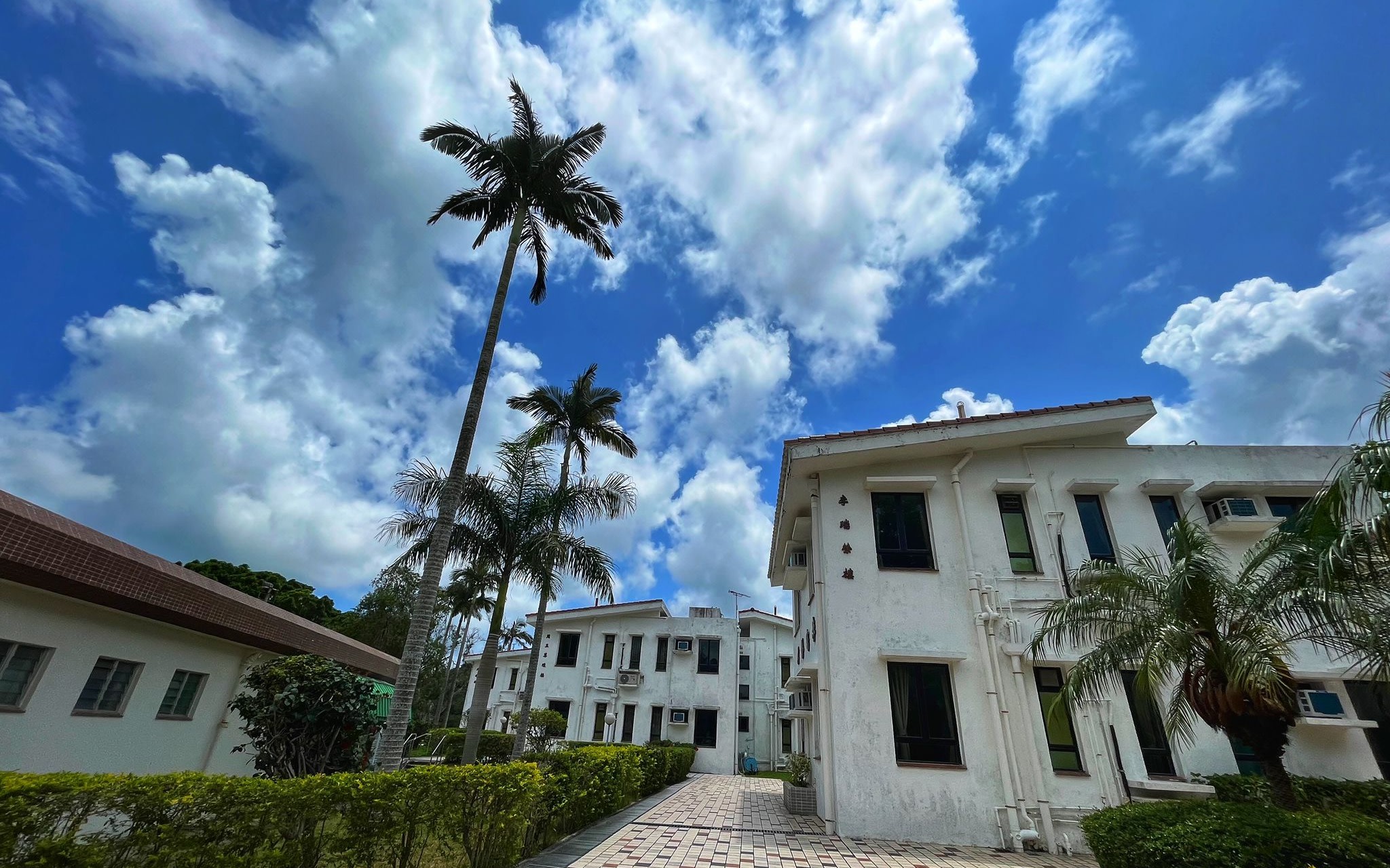 Hong Kong Sai Kung Pak Tam Chung Mangrove Ecology Expedition