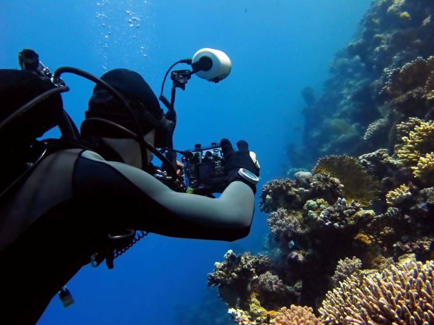 Sahl Hasheesh：潛水或浮潛游船之旅（含午餐）