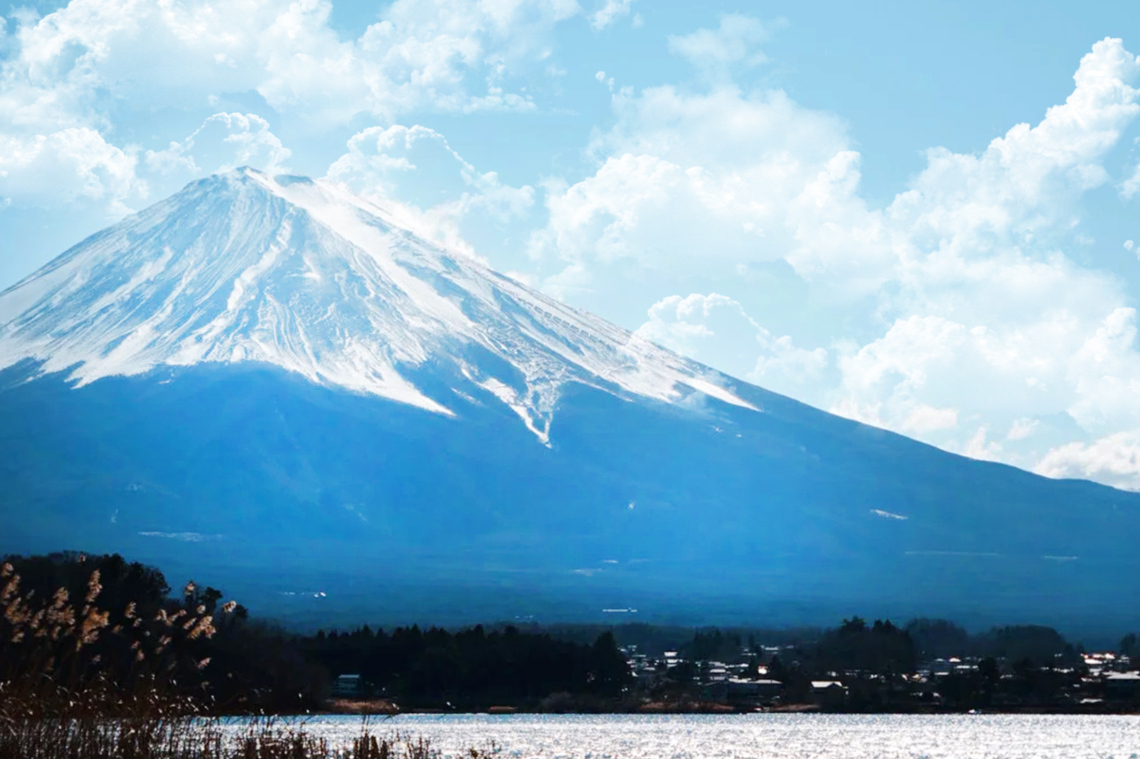大石公園位於河口湖畔。是一個可以根據四個季節看到不同風景的公園。 每個季節都能看到完全不同的美景! 大石公園位於河口湖畔。是一個可以根據四個季節看到不同風景的公園。 每個季節都能看到完全不同的美景!