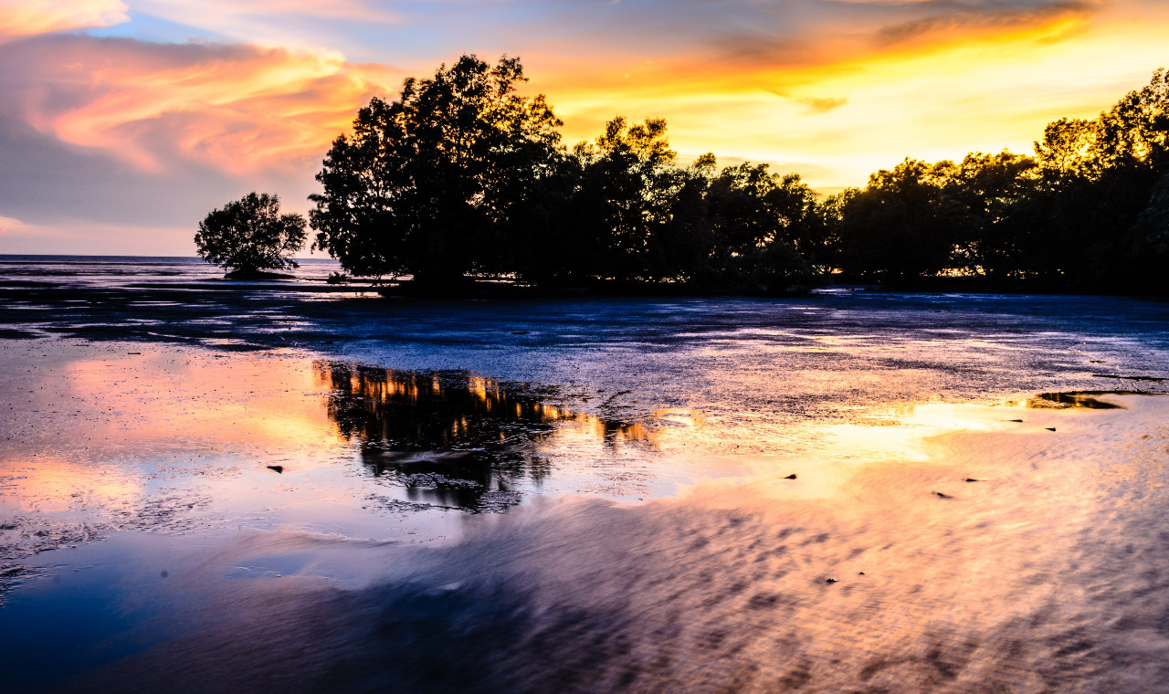 Kakadu National Park Tours & Activities