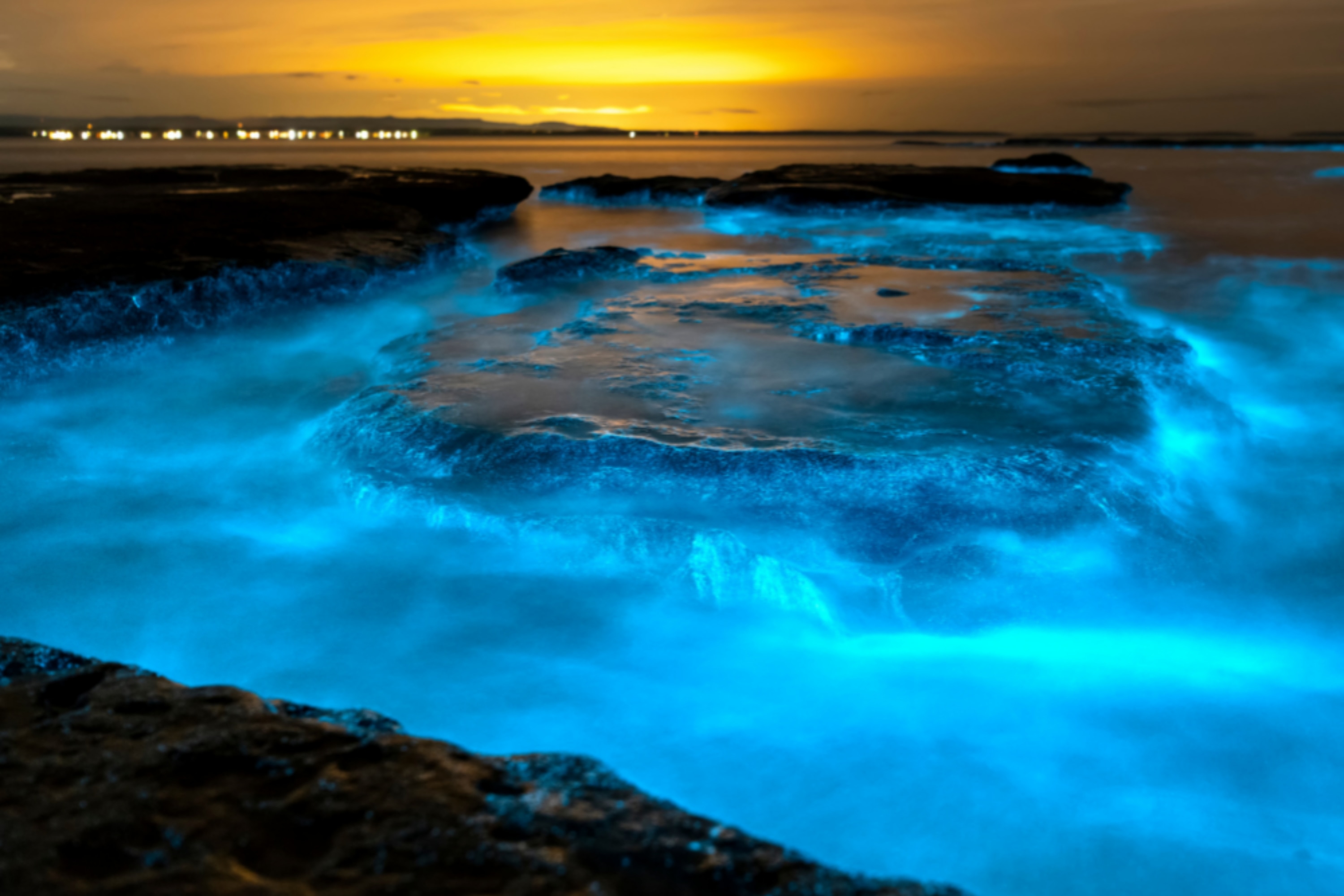Paddle strokes disturb the water, igniting flickers of bioluminescence all around