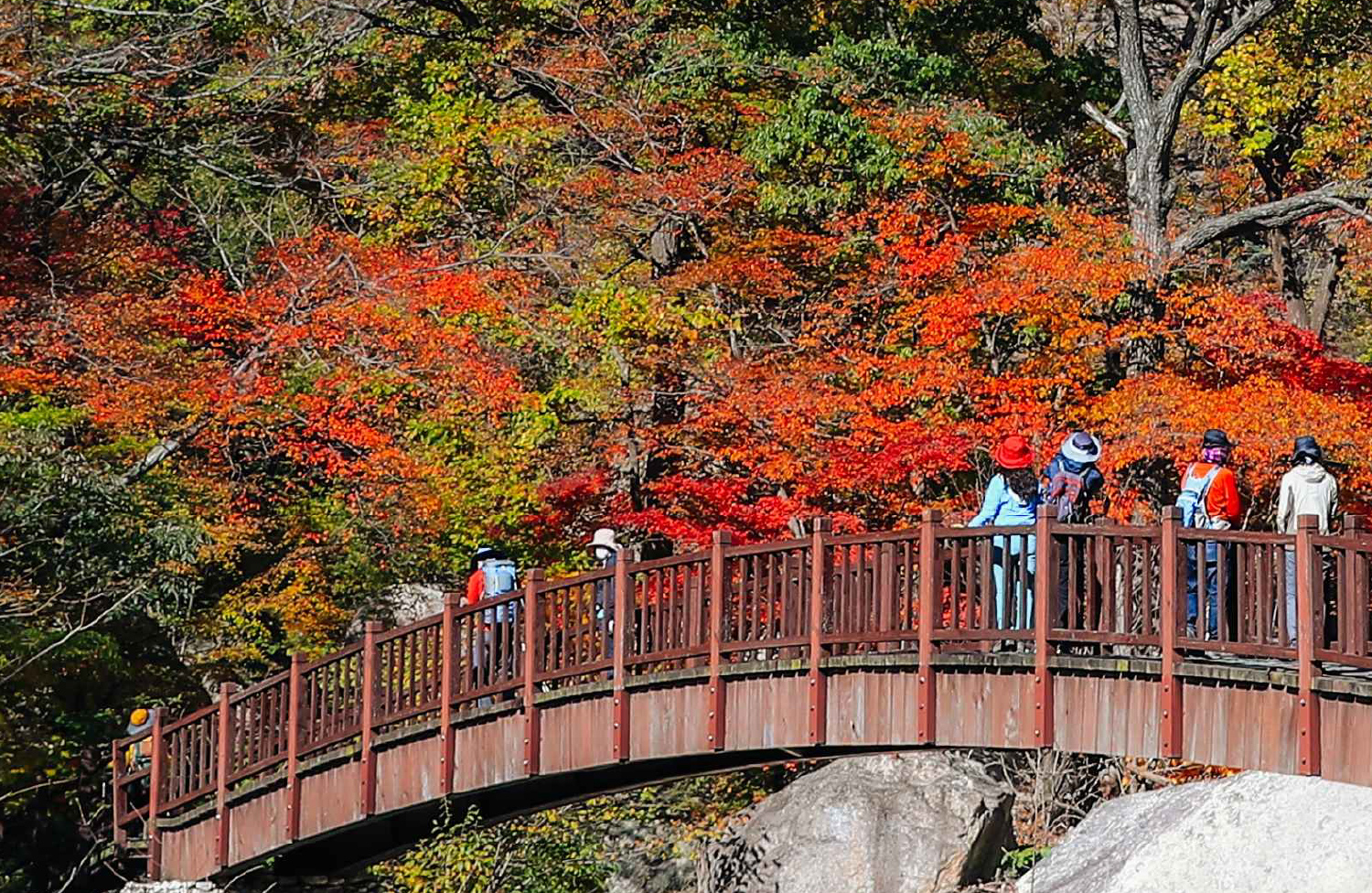 首爾雪嶽山 & Surfy海灘一日遊