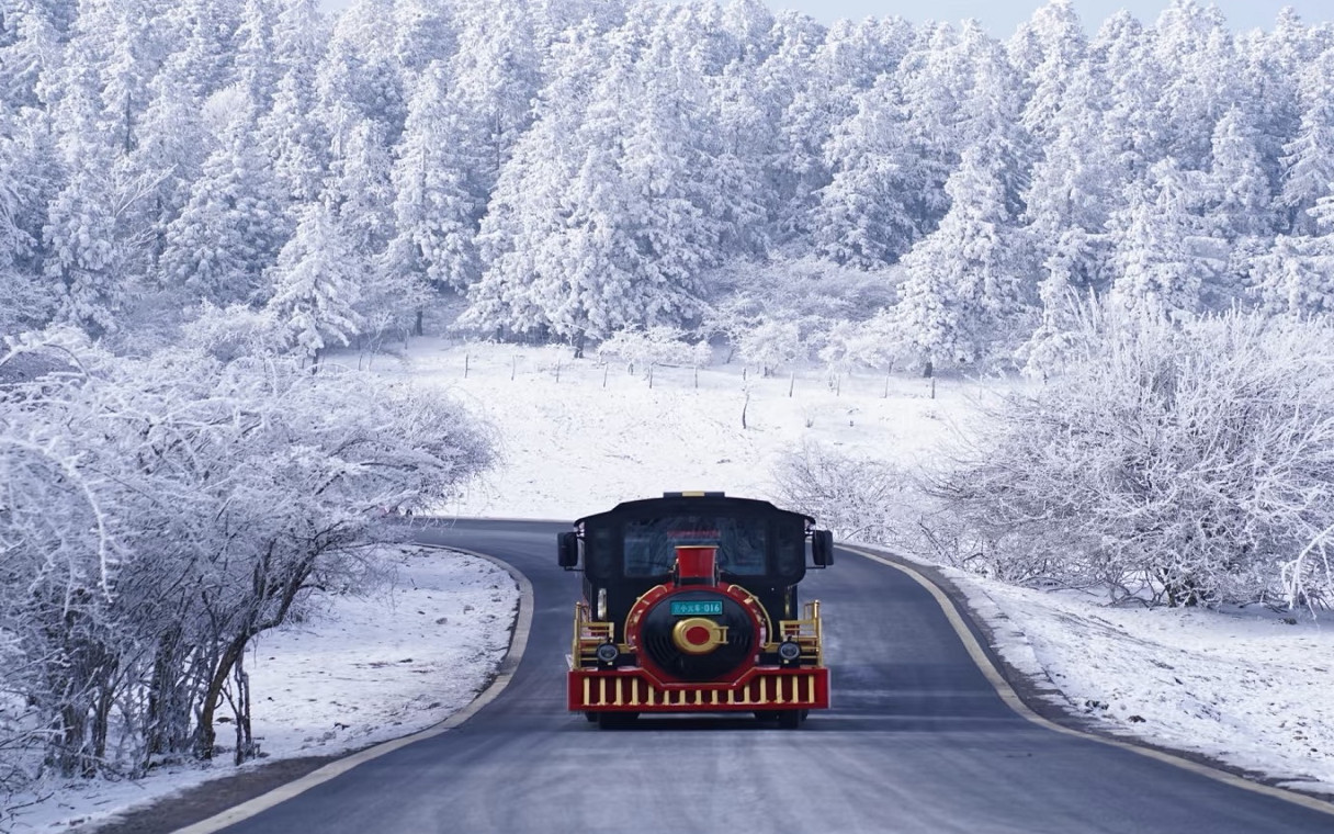 Chongqing Wulong Three Natural Bridges Small Group 1-Day Tour