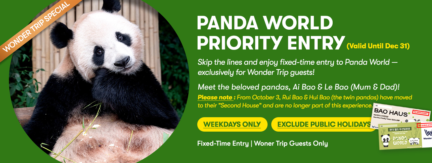 Everland Tour with Shuttle: Fast Panda World Entry (Ends 10/31)