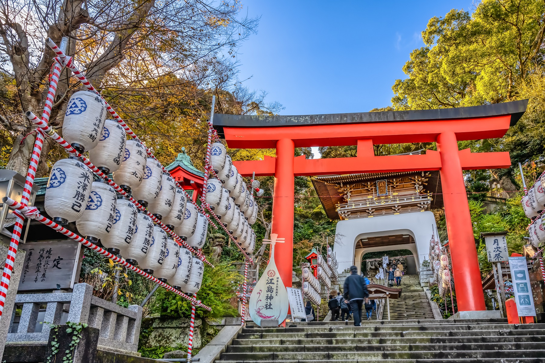 新倉山淺間公園 & 富士吉田本町商店街 & 箱根神社 & 修善寺 & 大室山 & 城崎海岸 & 江之島2日遊 (東京出發)