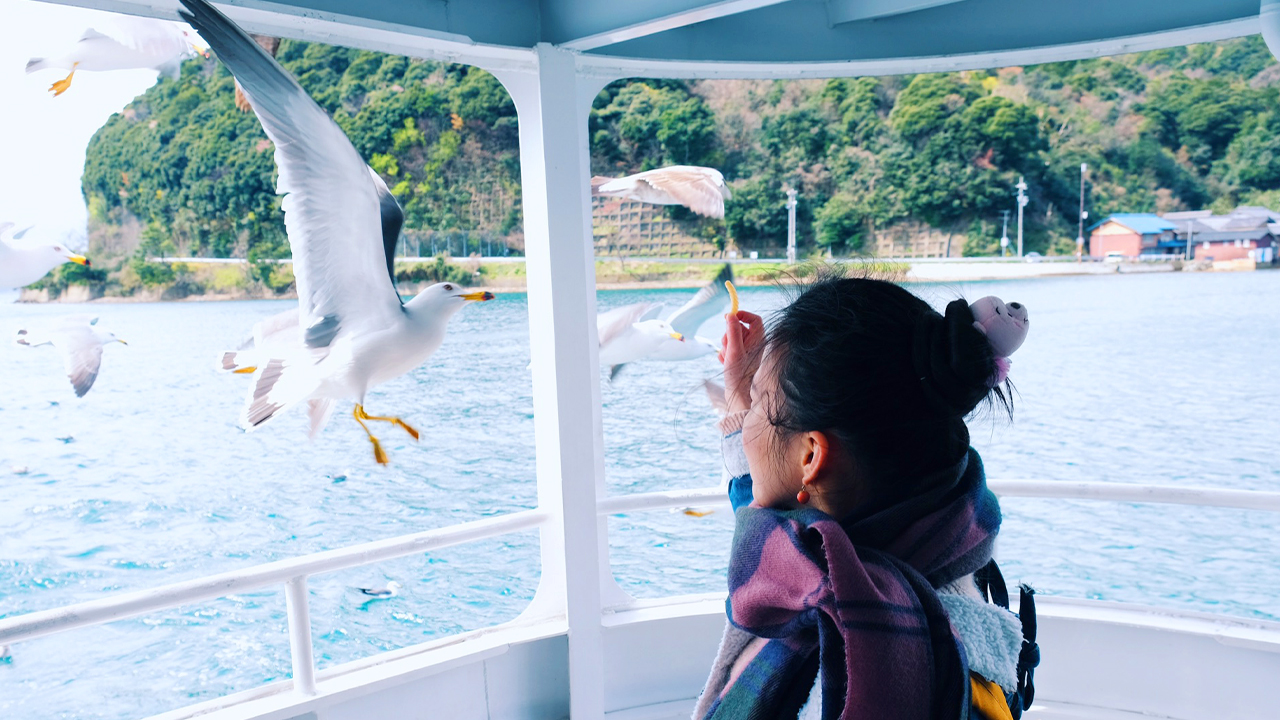 乘坐遊覽船喂海鷗時,注意觀察是否有老鷹出沒哦~以免被老鷹啄傷 乘坐遊覽船喂海鷗時,注意觀察是否有老鷹出沒哦~以免被老鷹啄傷