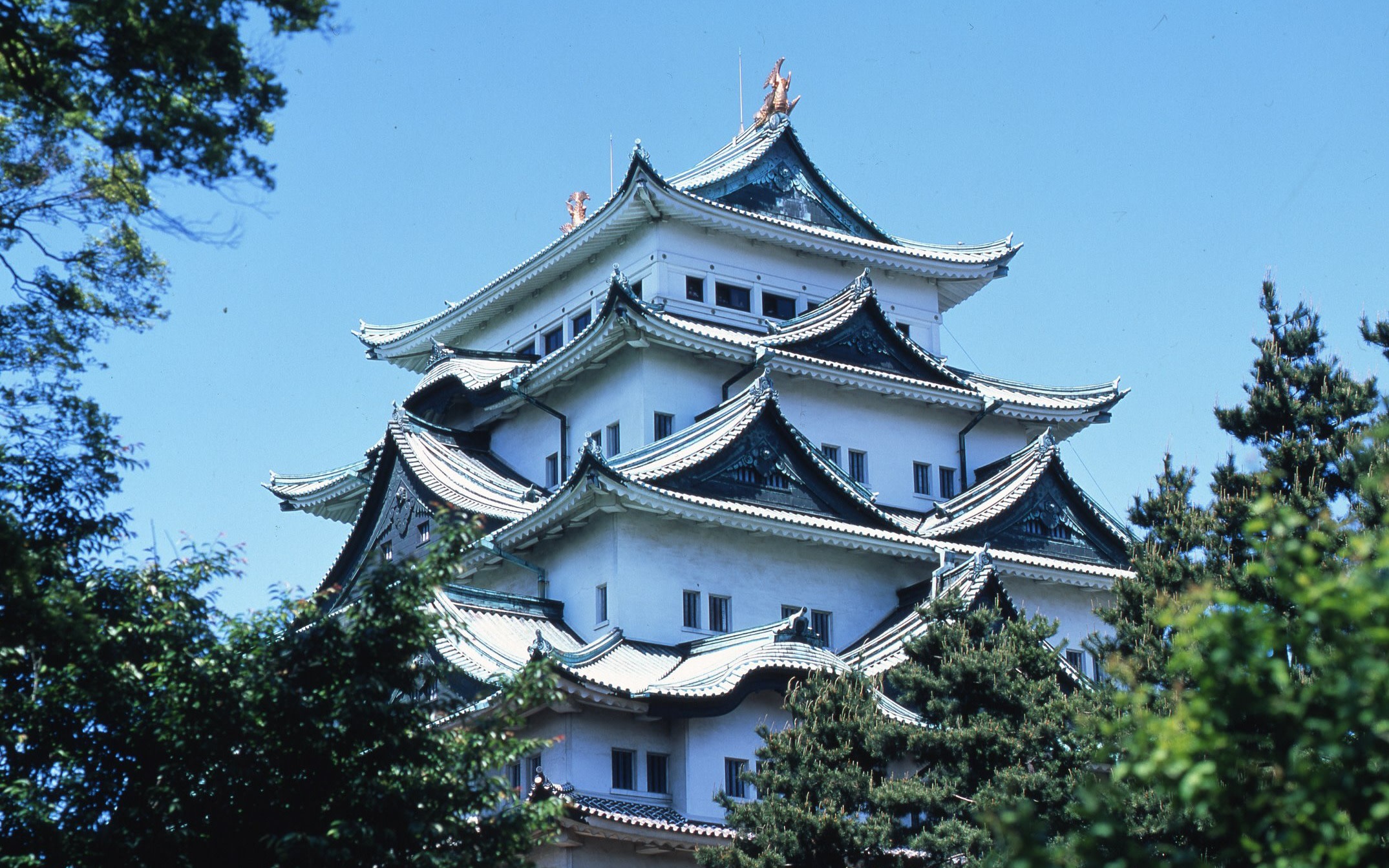 Nagoya Castle Ticket