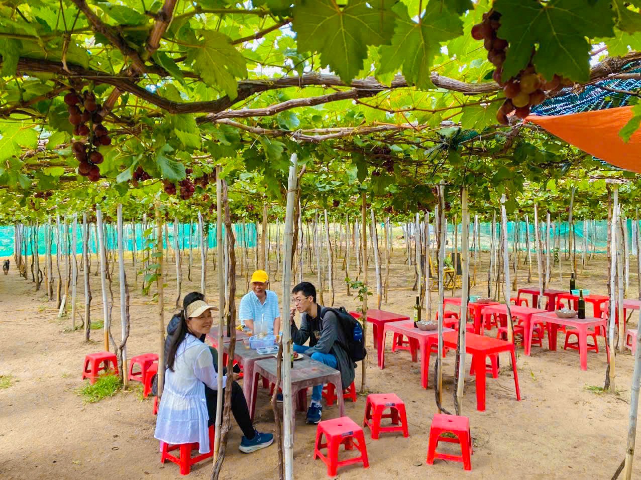 From Mui Ne To Vinh Hy Bay Day Trip Snorkeling And Fishing Tour 